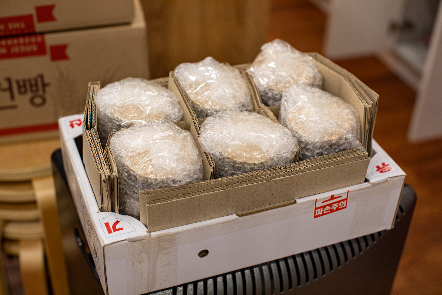 20250220-152726-mojinchan.jpg 20250220-152726-mojinchan.jpg