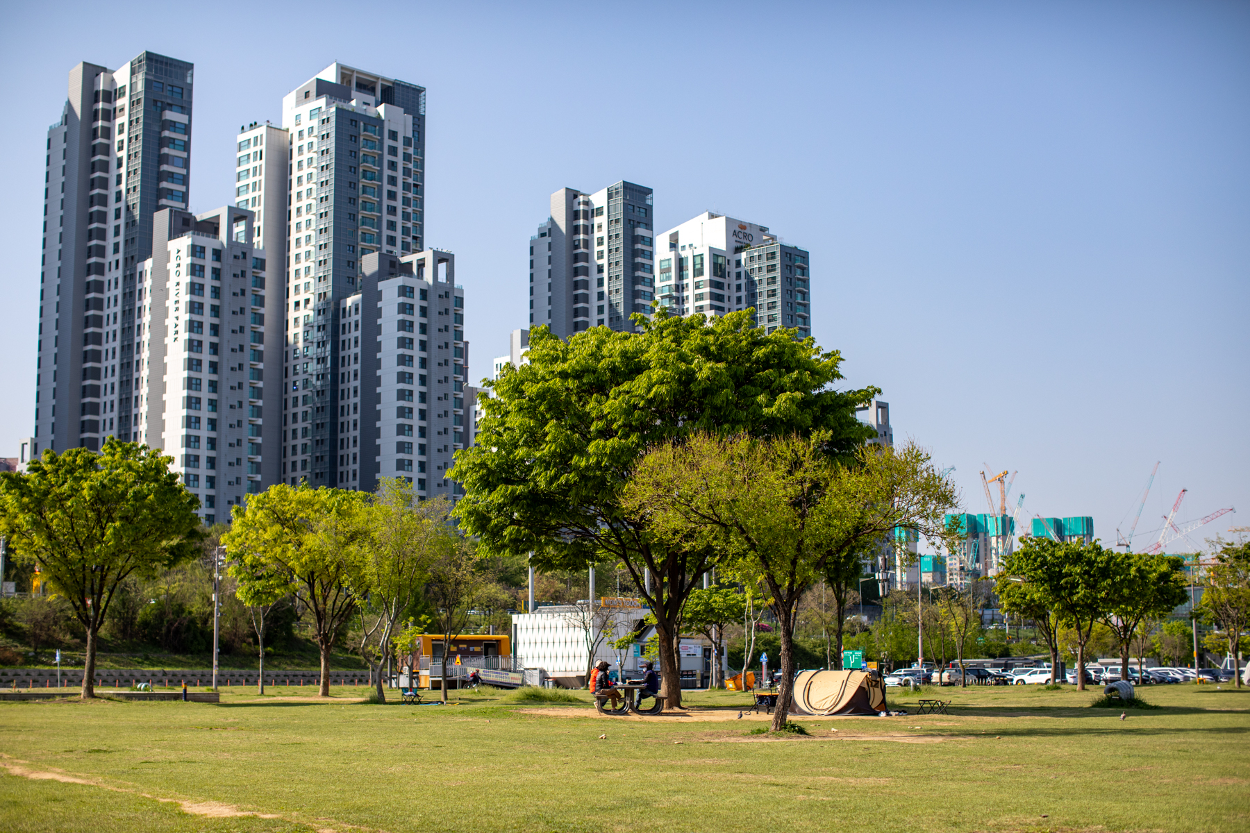 20250426-092957-mojinchan.jpg