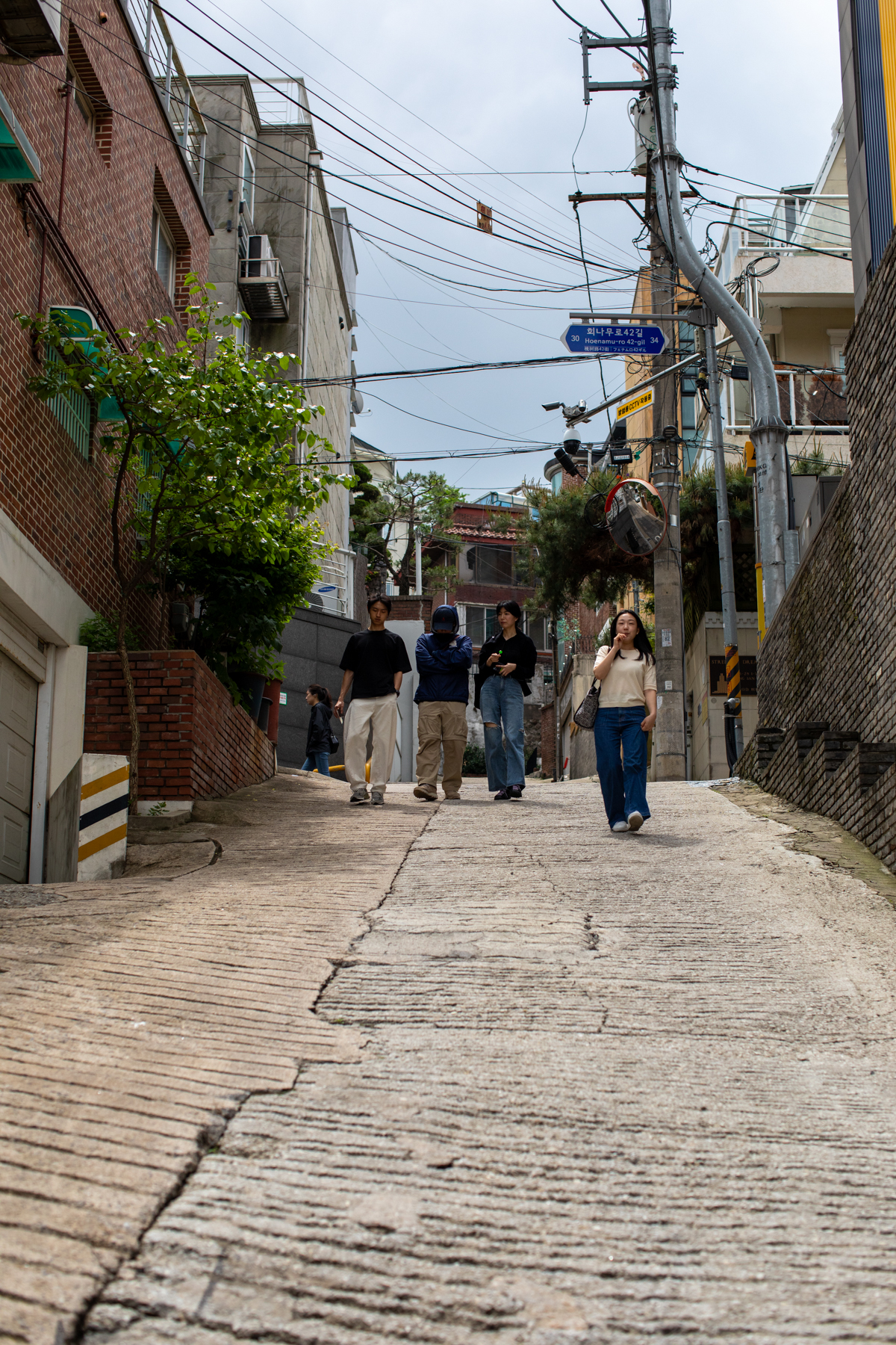 20250517-113019-mojinchan.jpg 20250517-113019-mojinchan.jpg