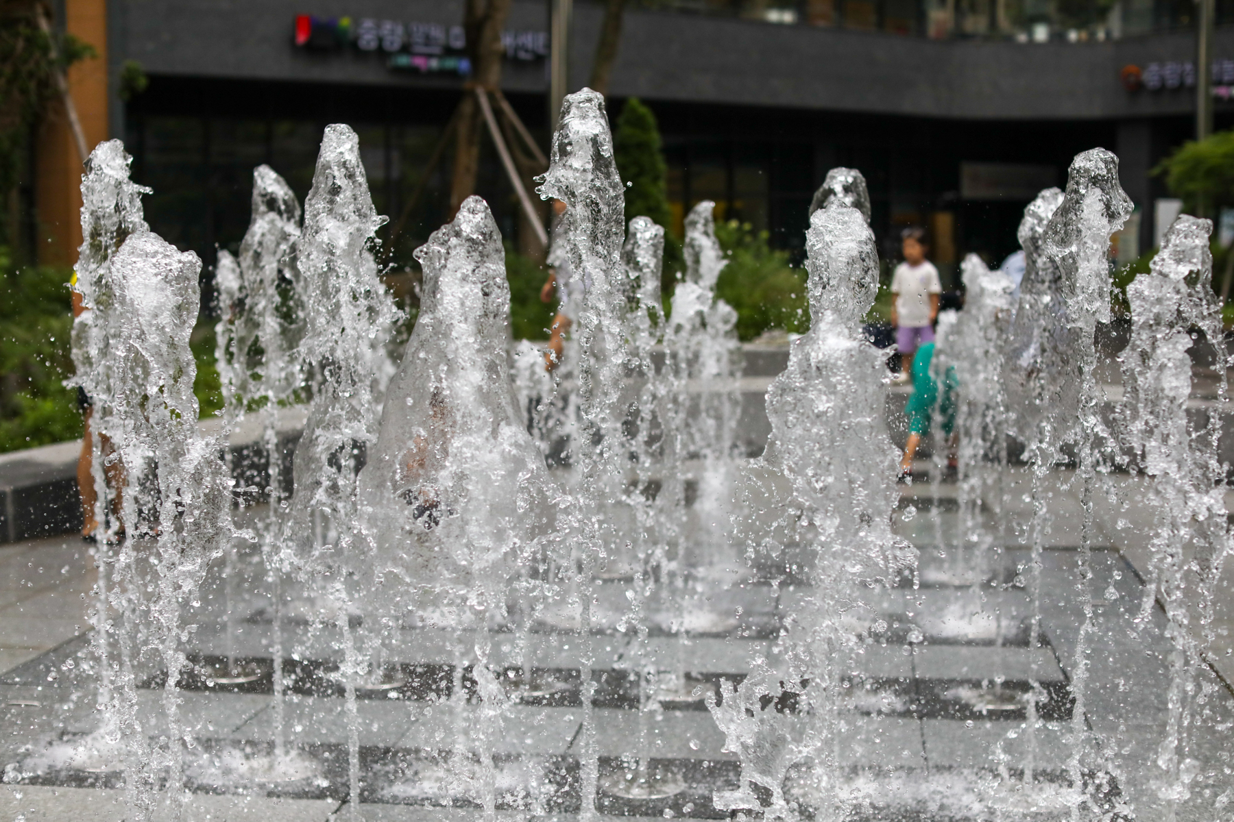 20250628-132204-mojinchan.jpg 20250628-132204-mojinchan.jpg