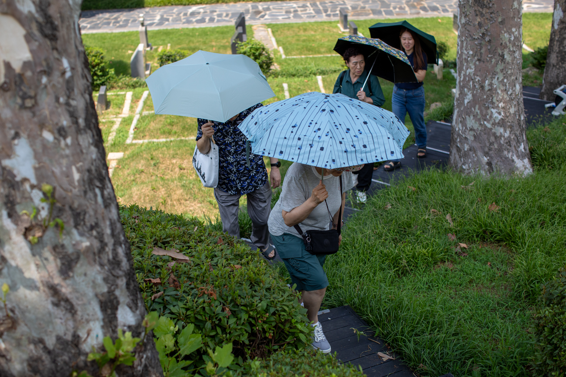 20250729-132109-mojinchan.jpg 20250729-132109-mojinchan.jpg