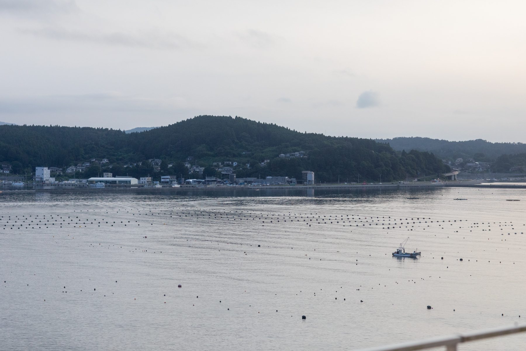 20250826-060840-mojinchan.jpg