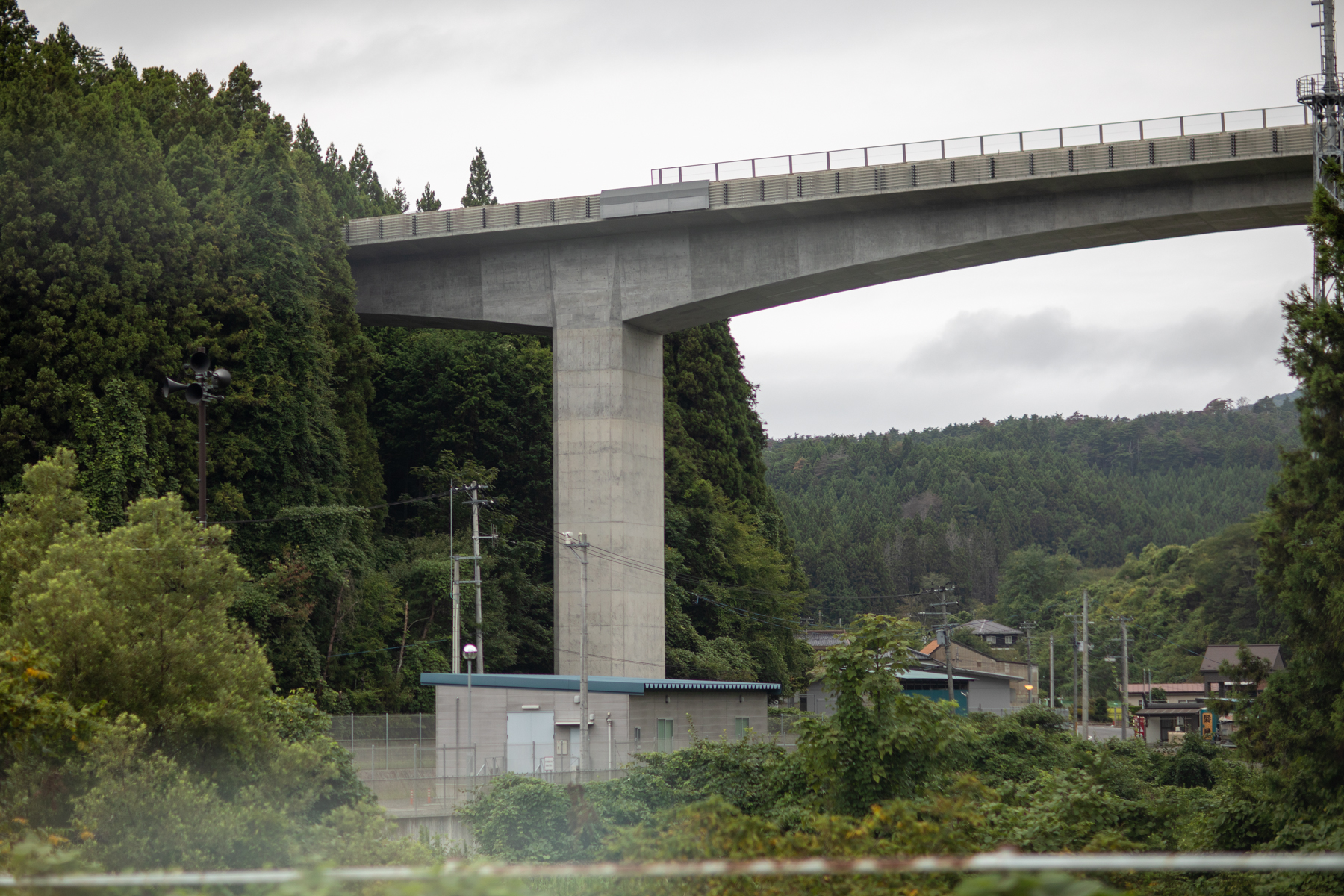 20250826-072735-mojinchan.jpg