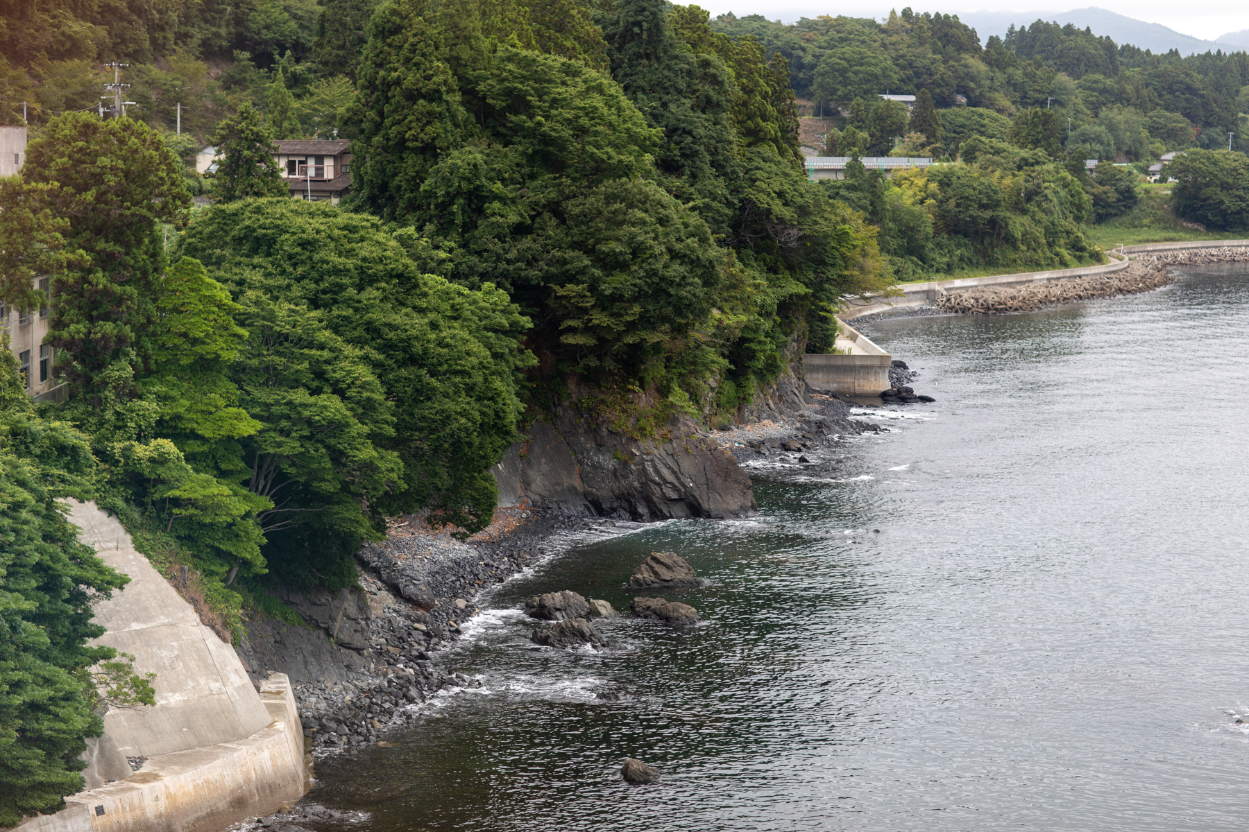 20250826-074057-mojinchan.jpg