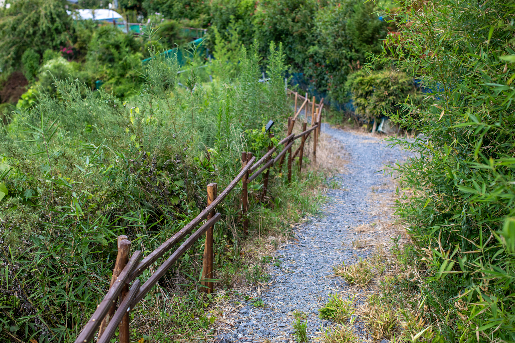 20250827-094709-mojinchan.jpg