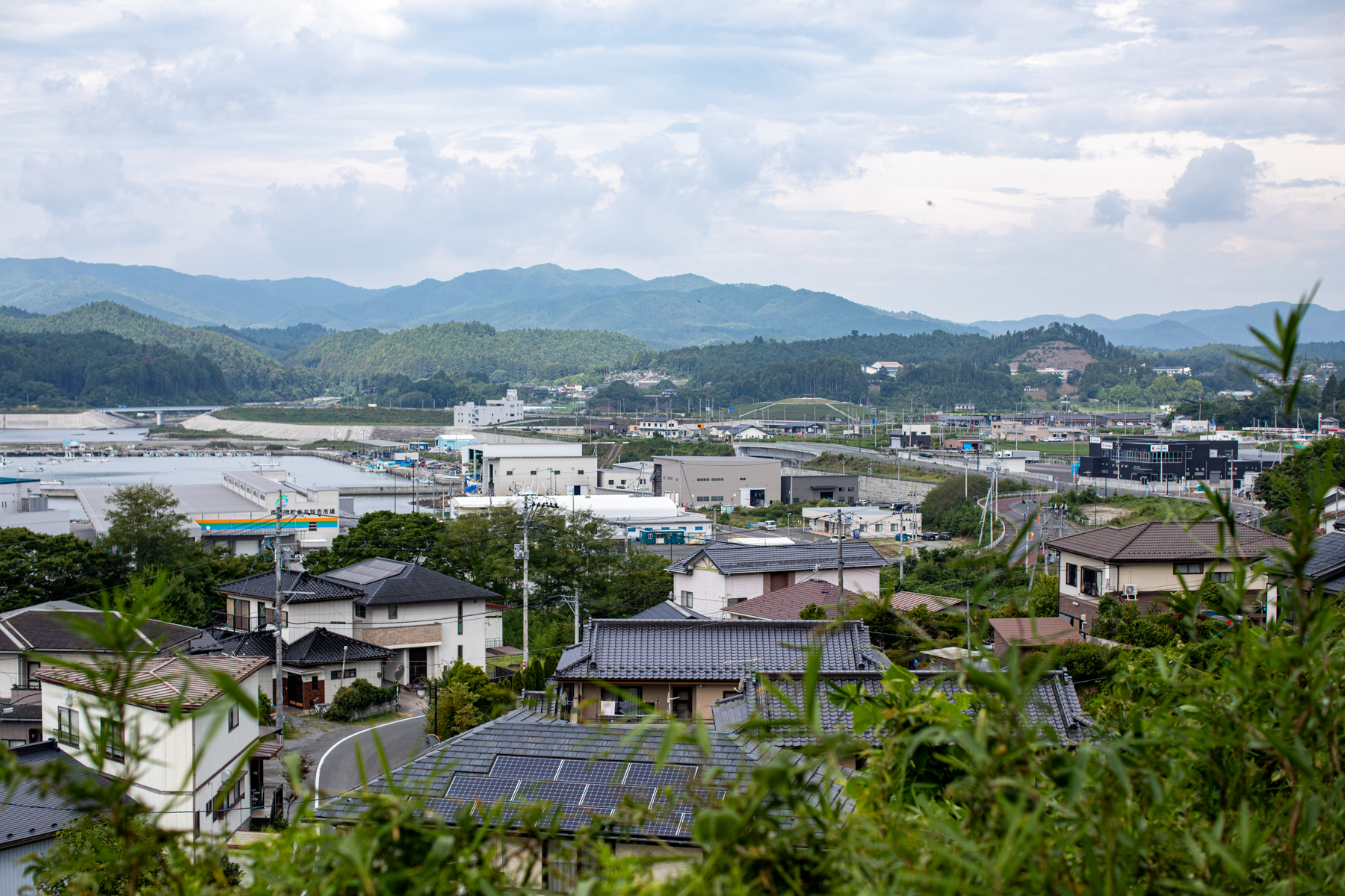 20250827-094801-mojinchan.jpg