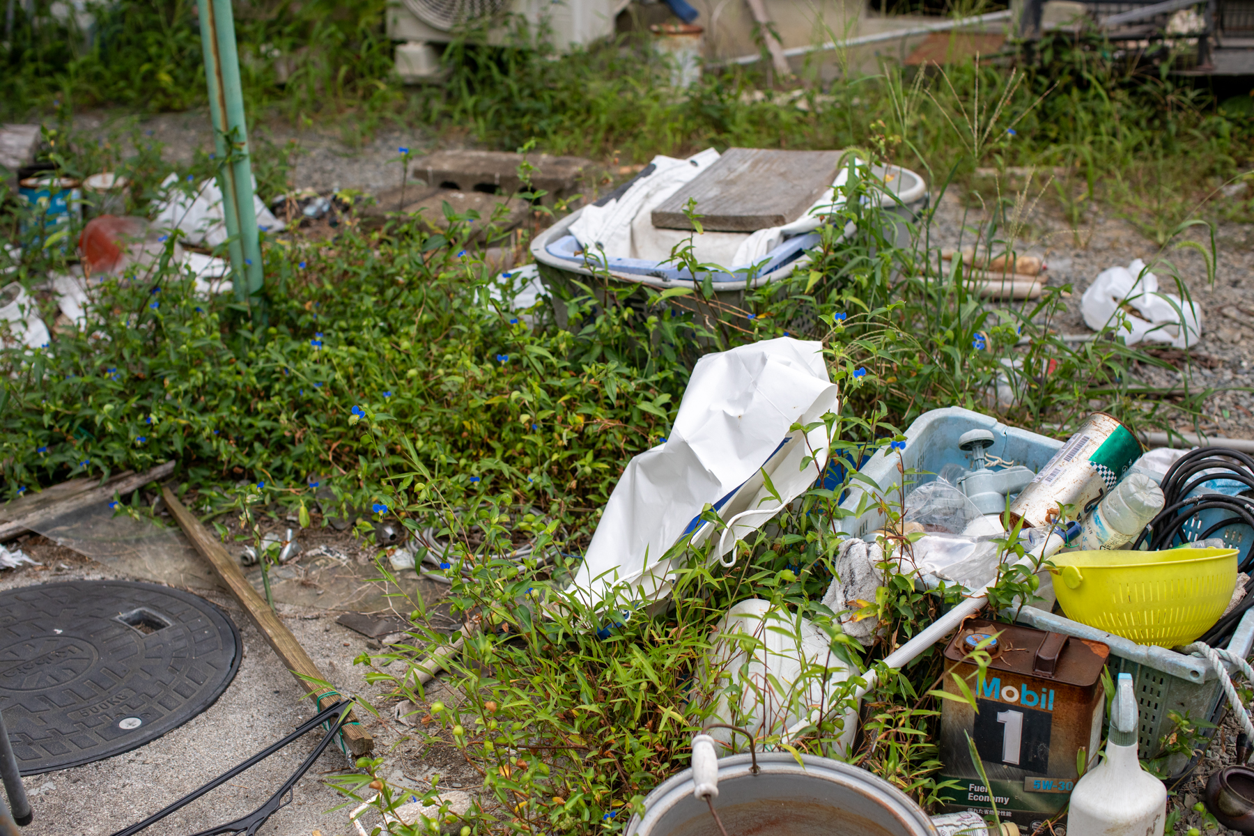 20250827-095030-mojinchan.jpg