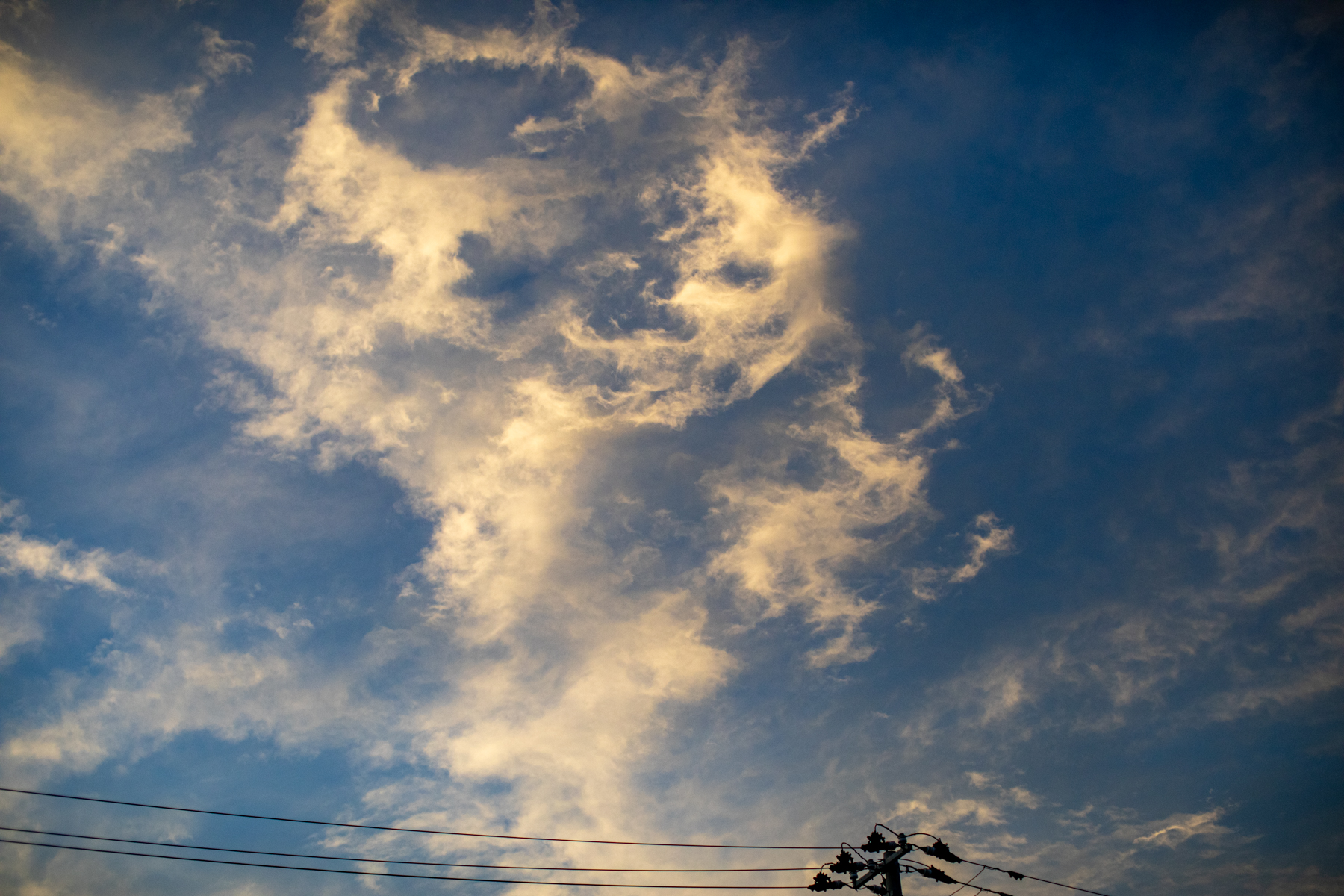 20250827-184128-mojinchan.jpg