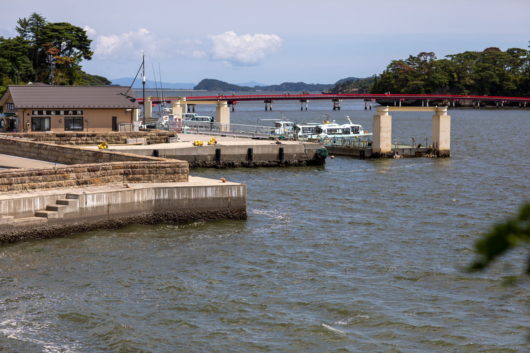 20250828-122525-mojinchan.jpg