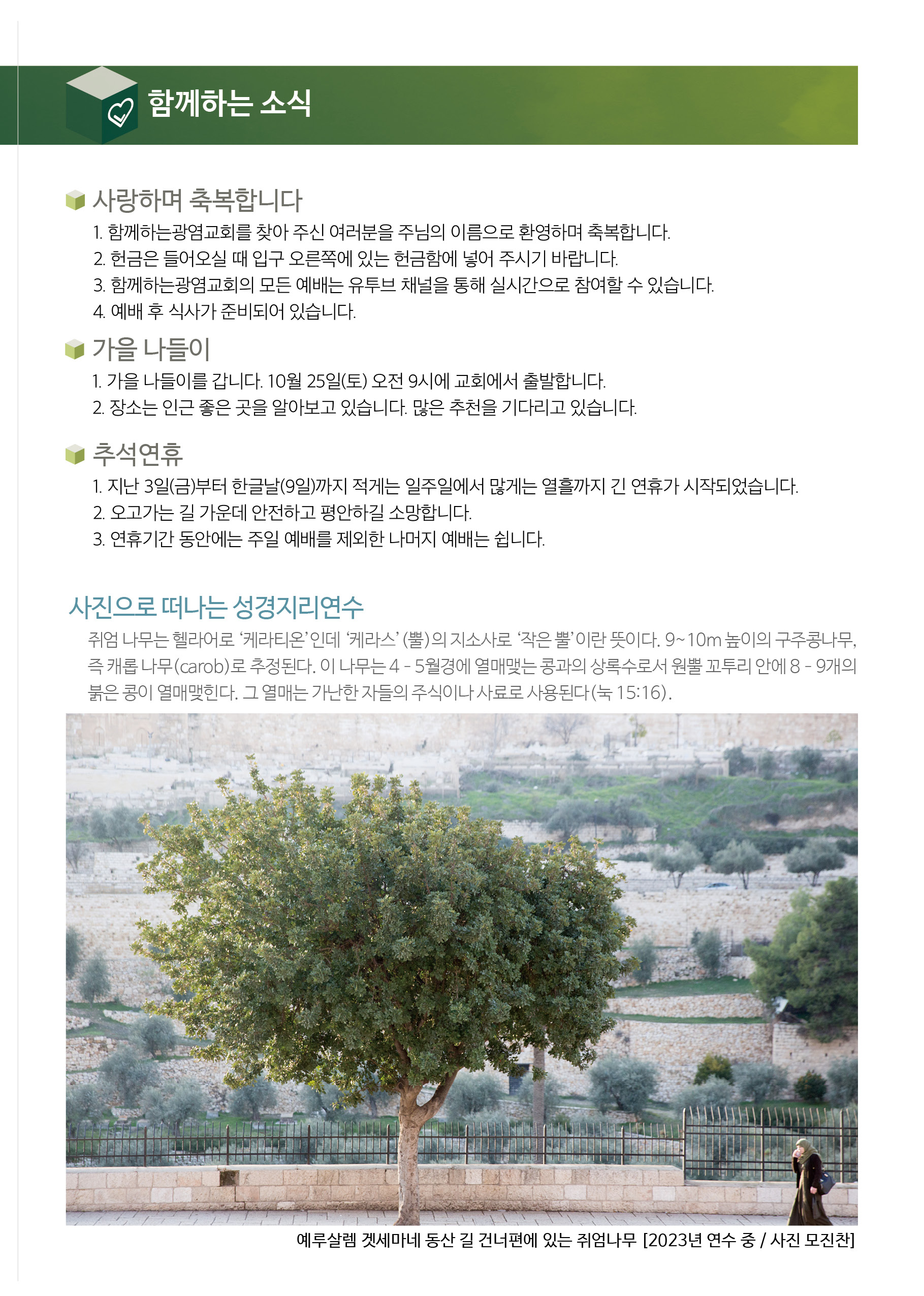 20251005_주보4.jpg