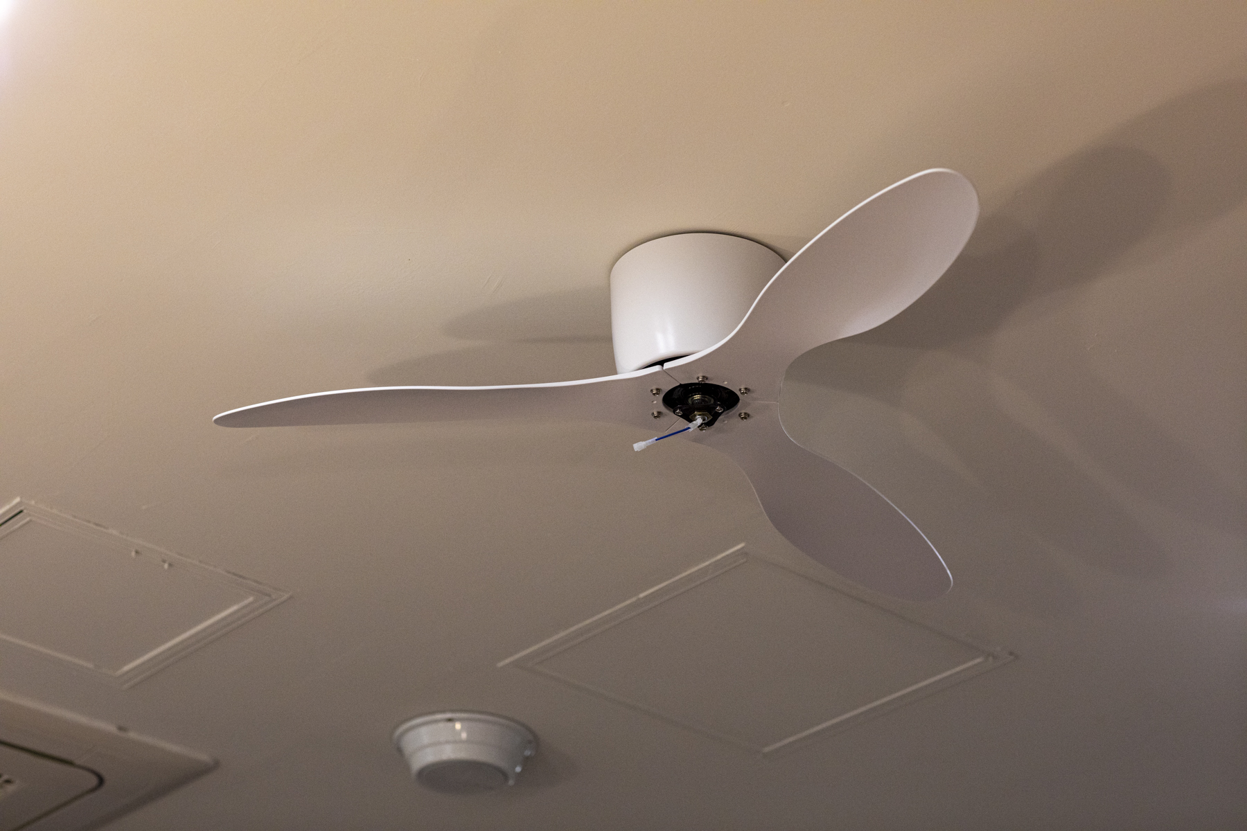 20251009-185314-mojinchan.jpg 20251009-185314-mojinchan.jpg