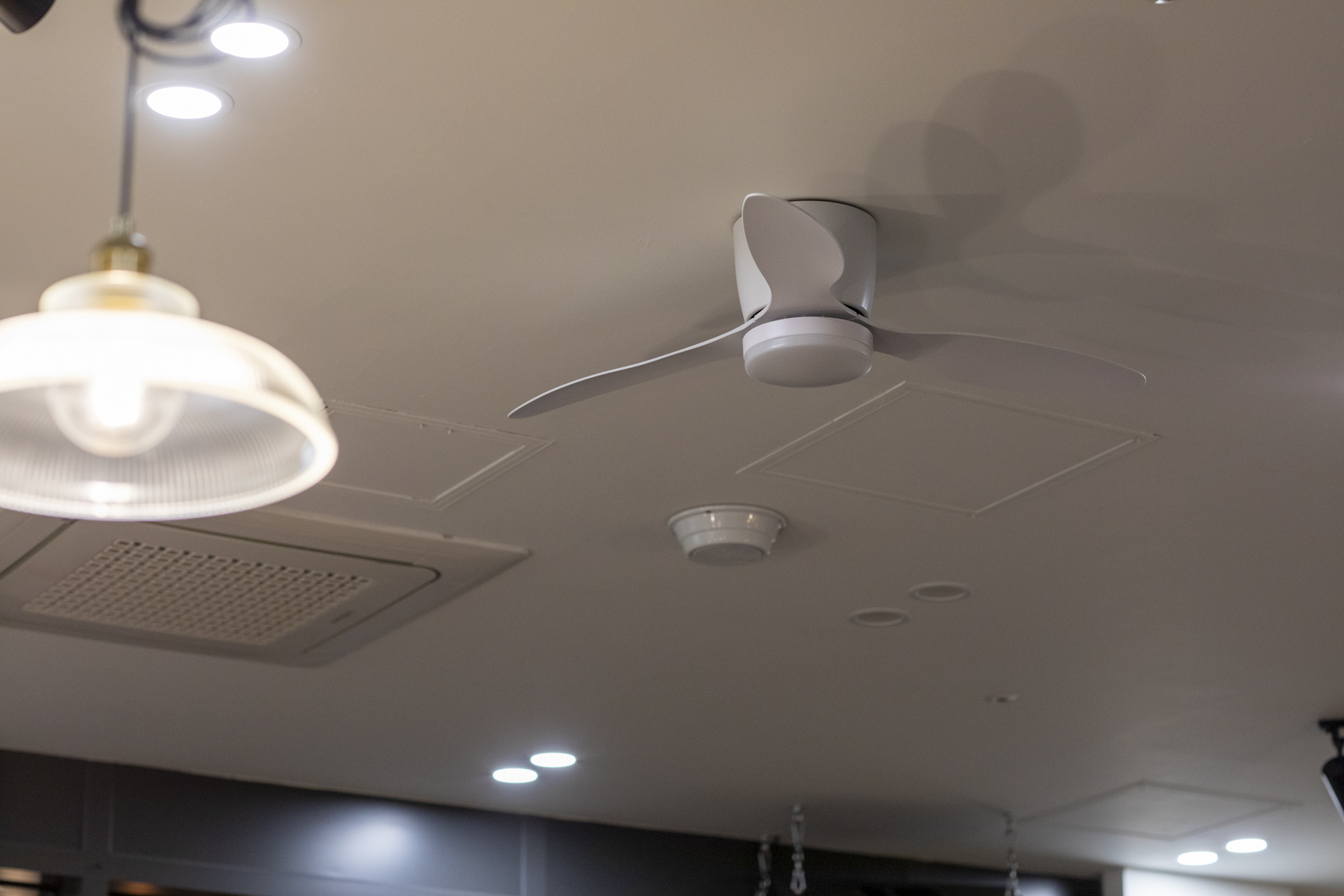 20251009-185844-mojinchan.jpg 20251009-185844-mojinchan.jpg