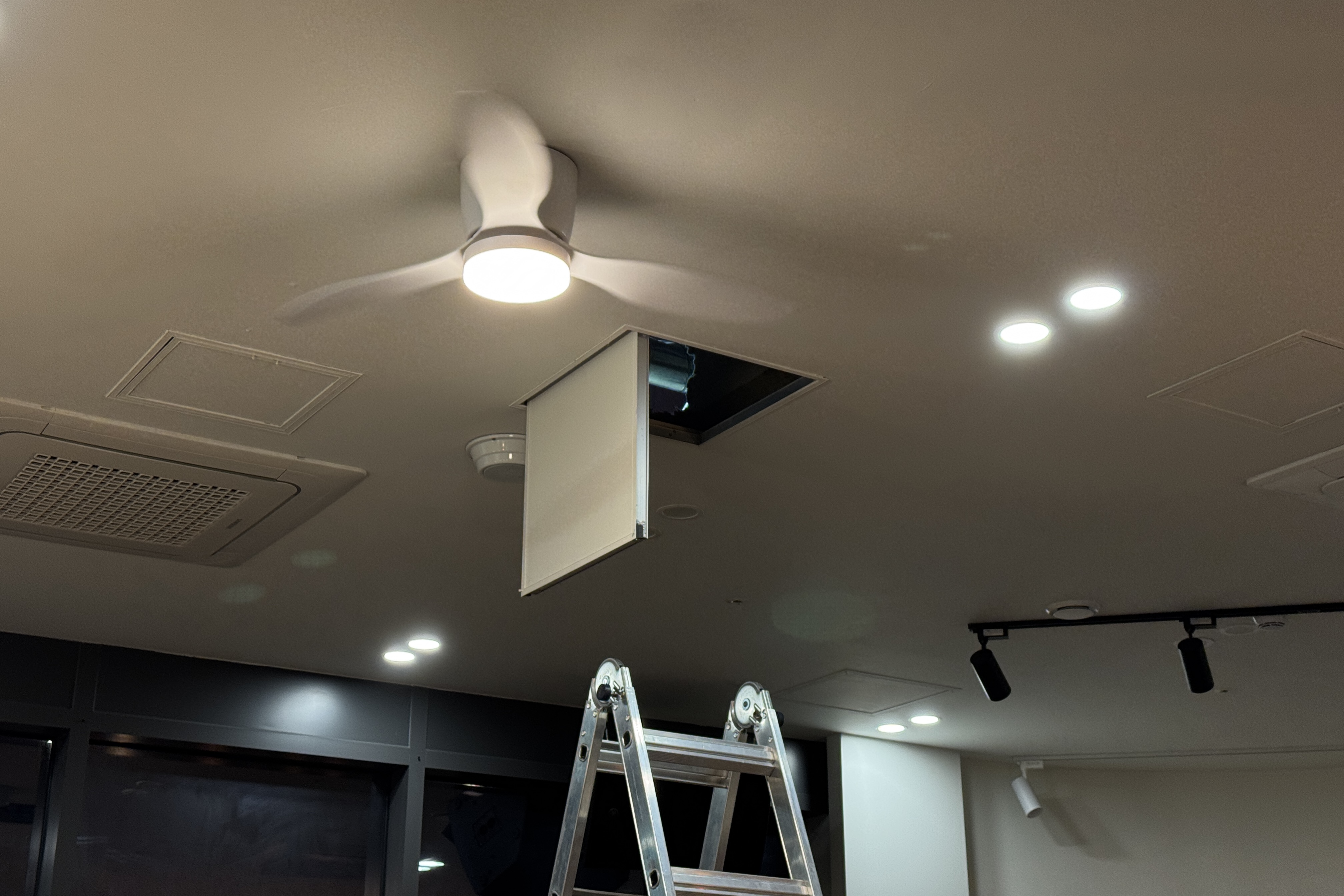 IMG_1557.jpg IMG_1557.jpg