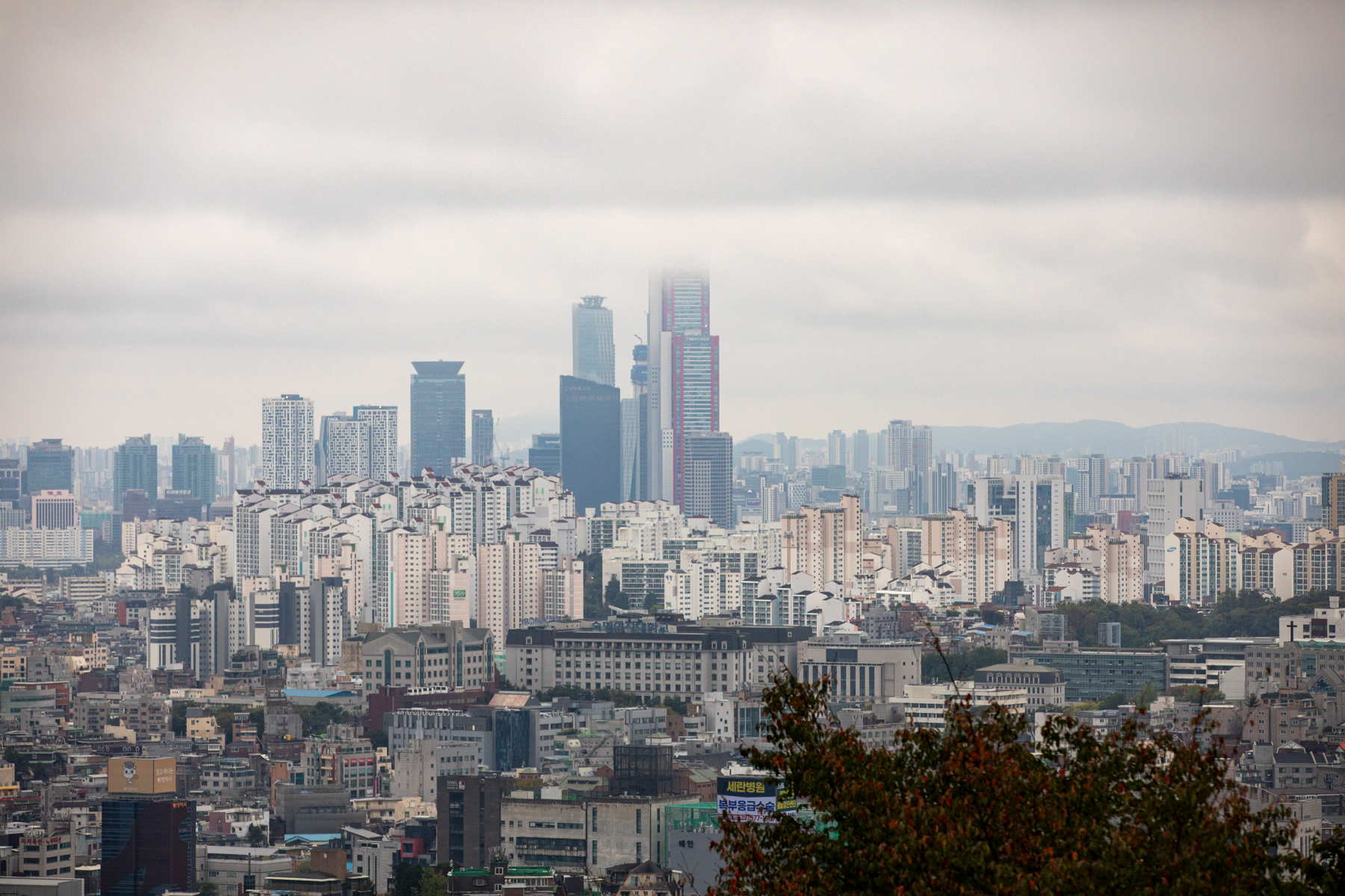 20251018-093555-mojinchan.jpg 20251018-093555-mojinchan.jpg