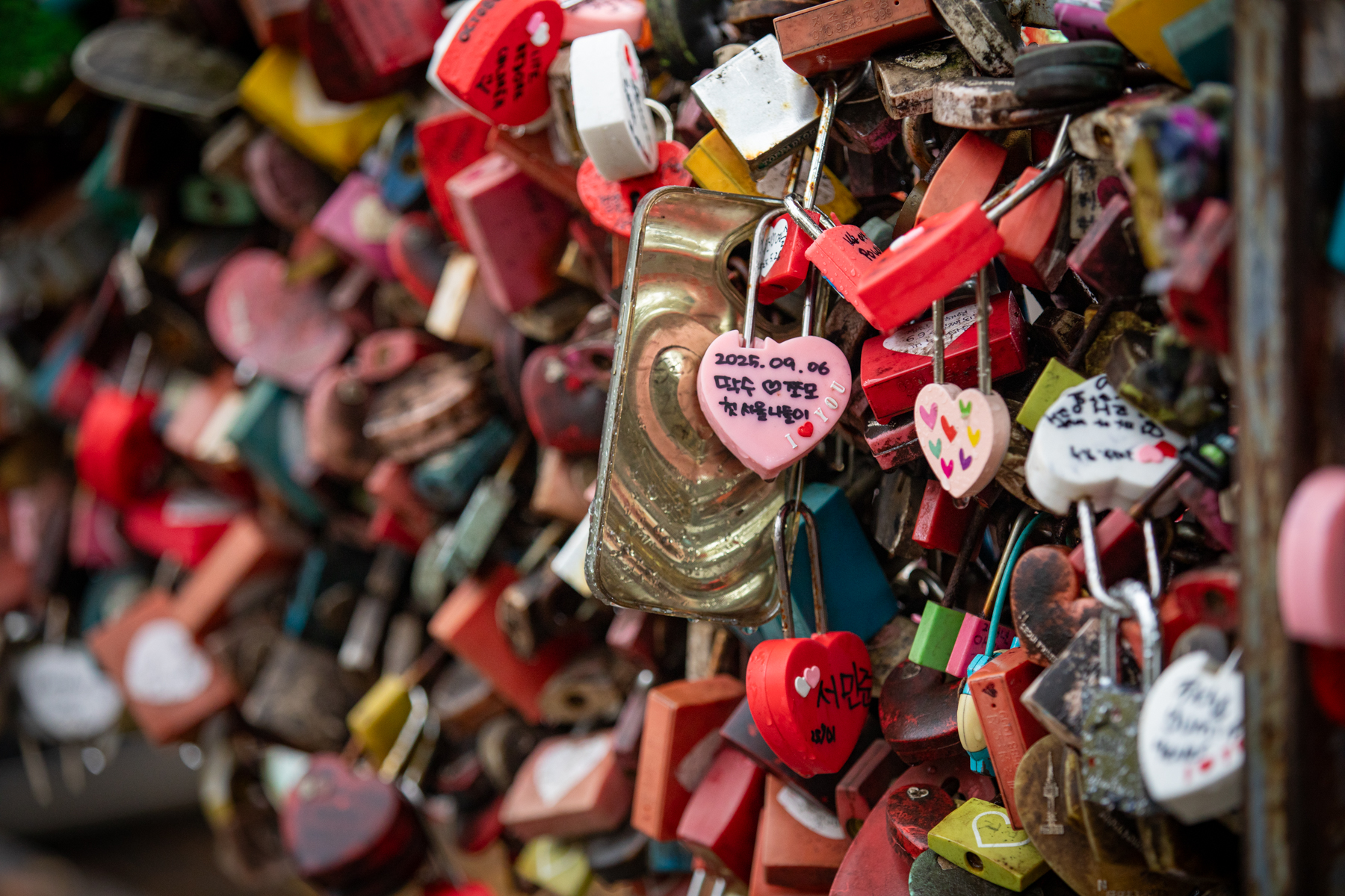 20251018-095617-mojinchan.jpg 20251018-095617-mojinchan.jpg