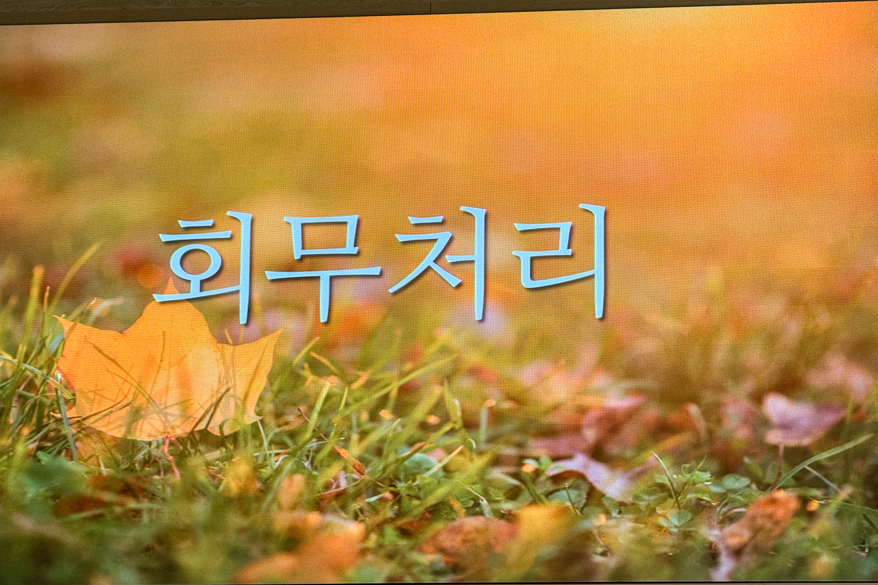 20251016-114105-mojinchan.jpg 20251016-114105-mojinchan.jpg