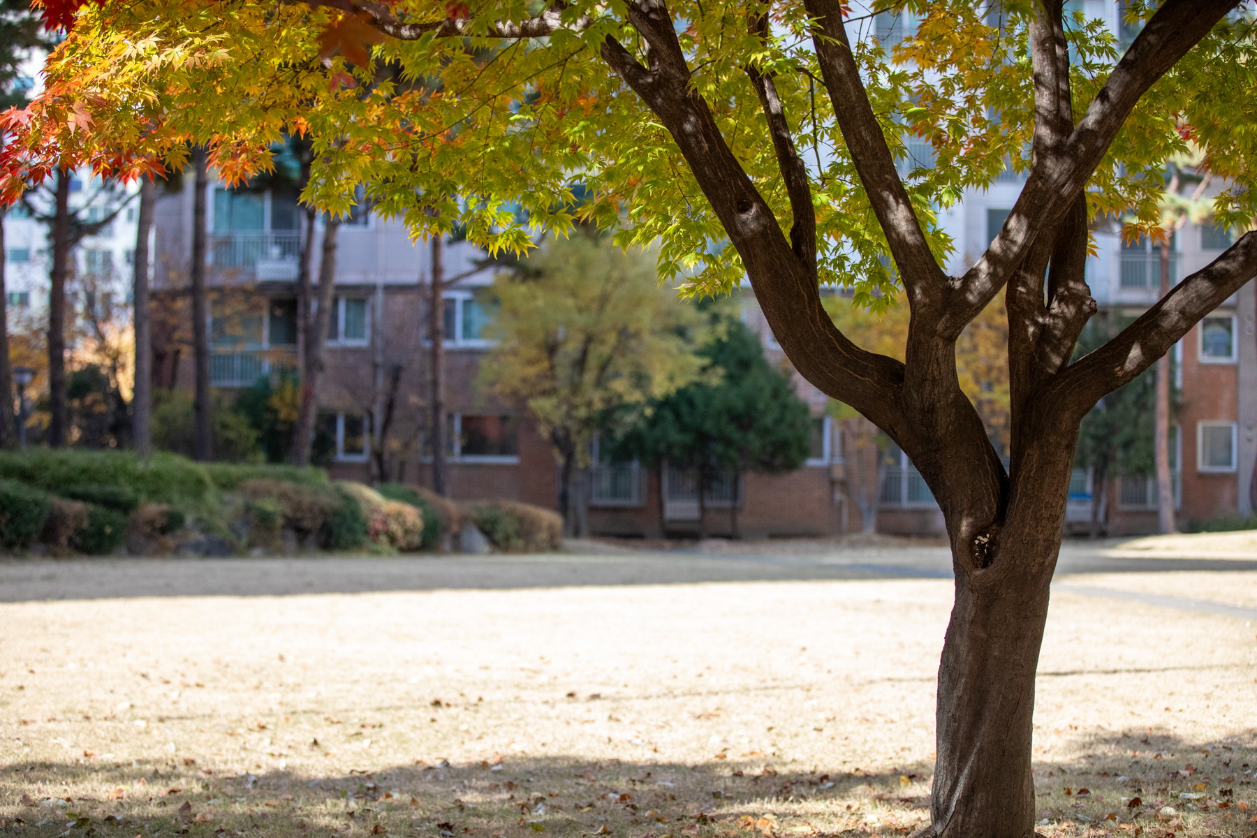 20251115-134715-mojinchan.jpg 20251115-134715-mojinchan.jpg