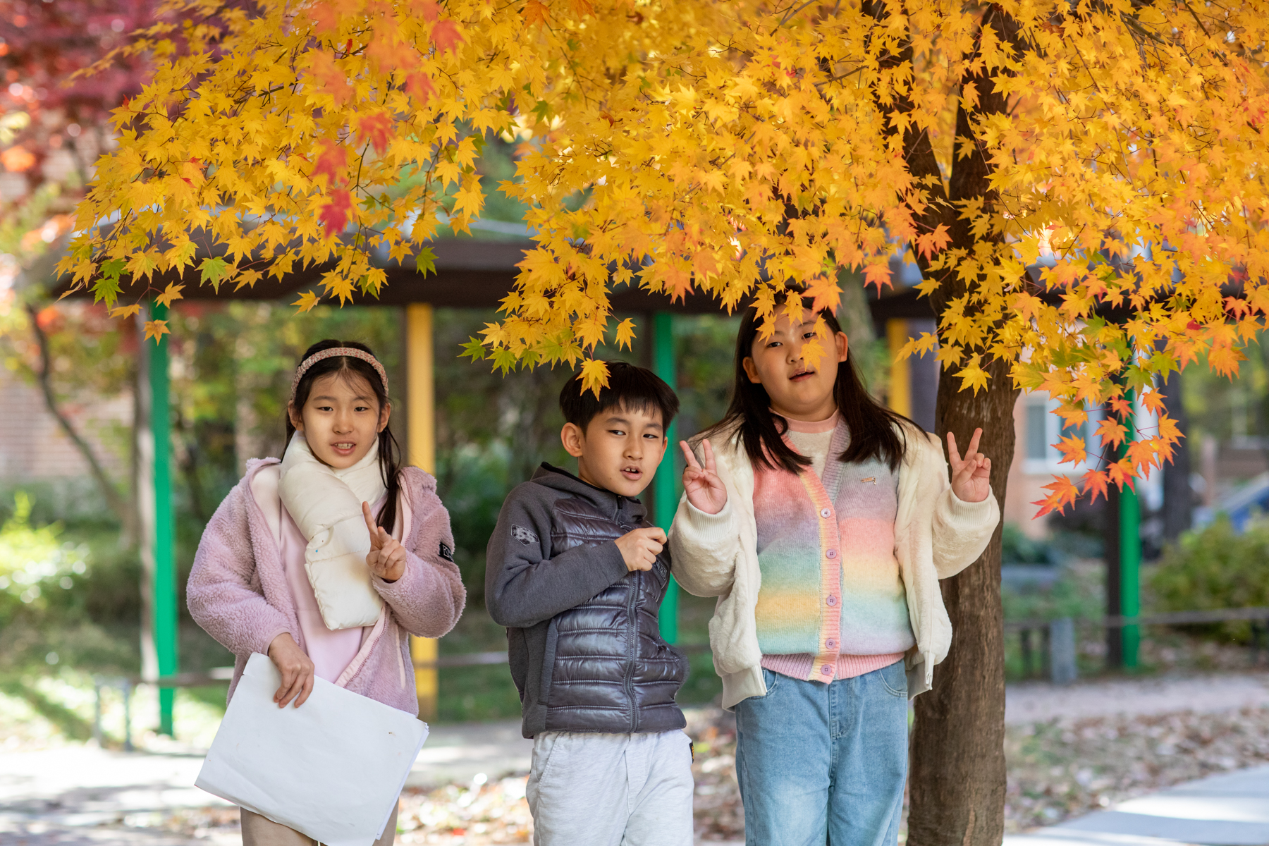 20251115-135210-mojinchan.jpg 20251115-135210-mojinchan.jpg