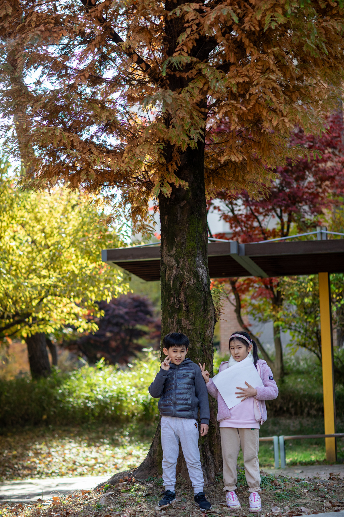 20251115-135547-mojinchan.jpg 20251115-135547-mojinchan.jpg