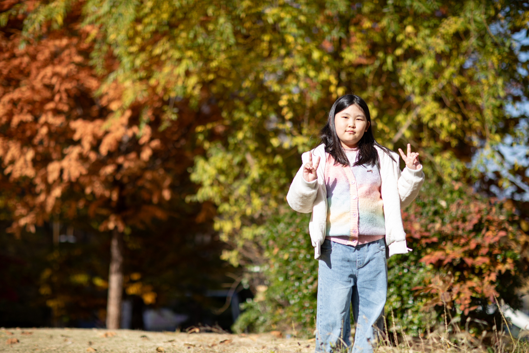 20251115-135702-mojinchan.jpg 20251115-135702-mojinchan.jpg