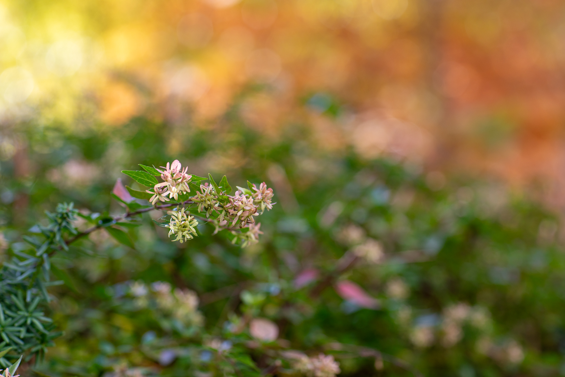 20251115-140019-mojinchan.jpg 20251115-140019-mojinchan.jpg