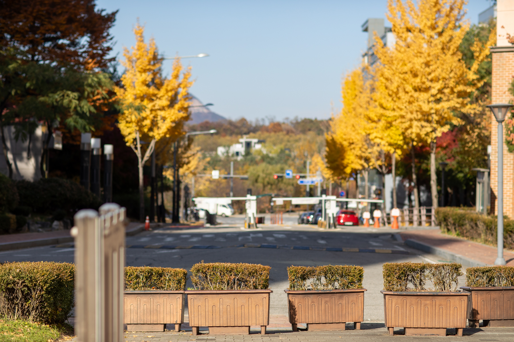 20251115-140733-mojinchan.jpg 20251115-140733-mojinchan.jpg