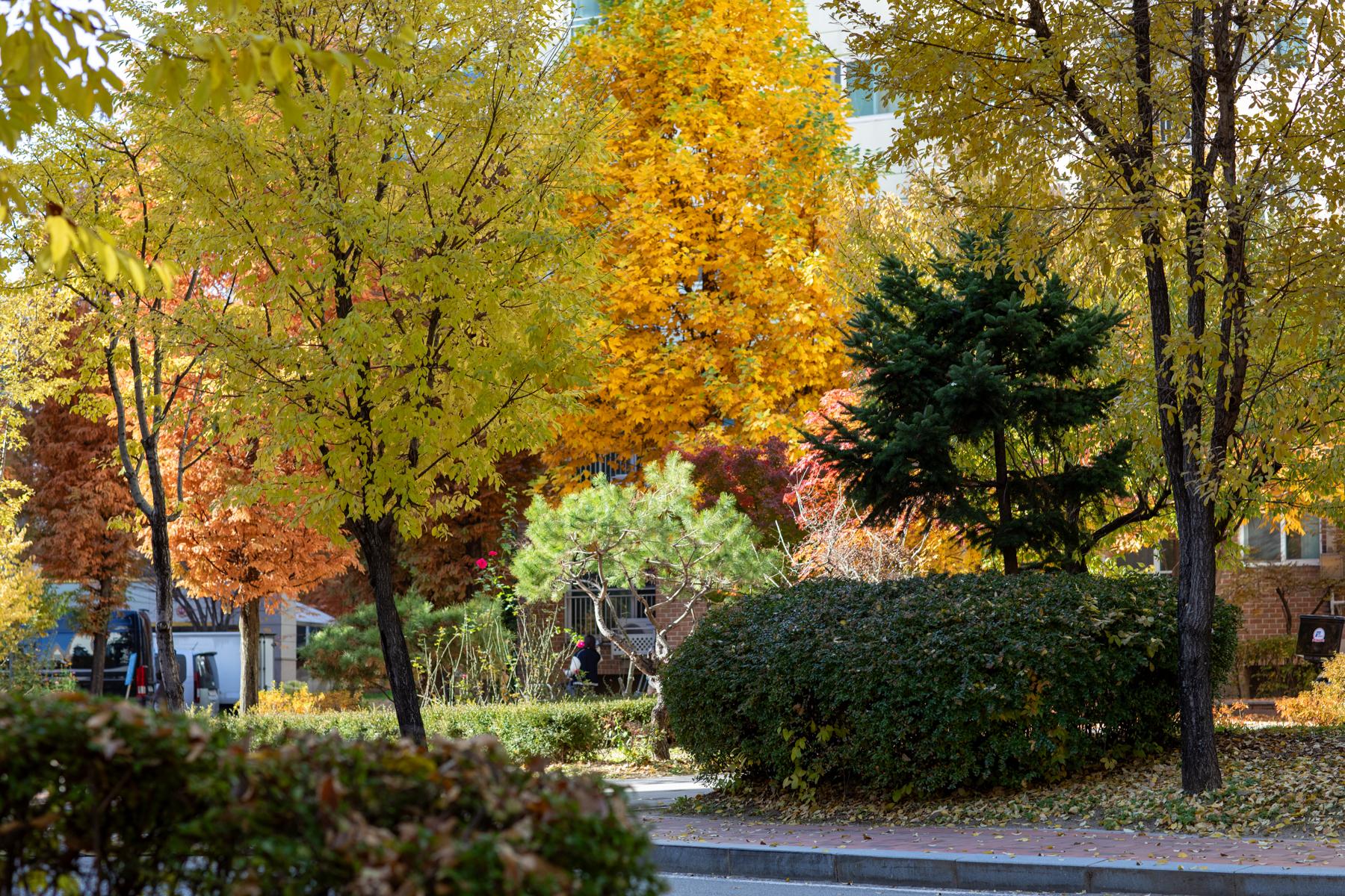 20251115-141607-mojinchan.jpg 20251115-141607-mojinchan.jpg