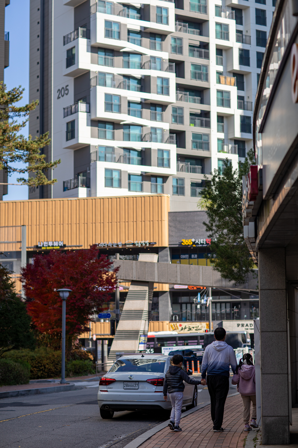 20251115-142604-mojinchan.jpg 20251115-142604-mojinchan.jpg