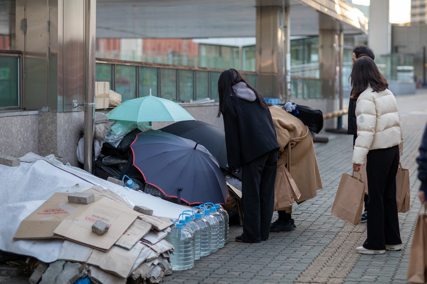 20251129-083257-mojinchan.jpg 20251129-083257-mojinchan.jpg