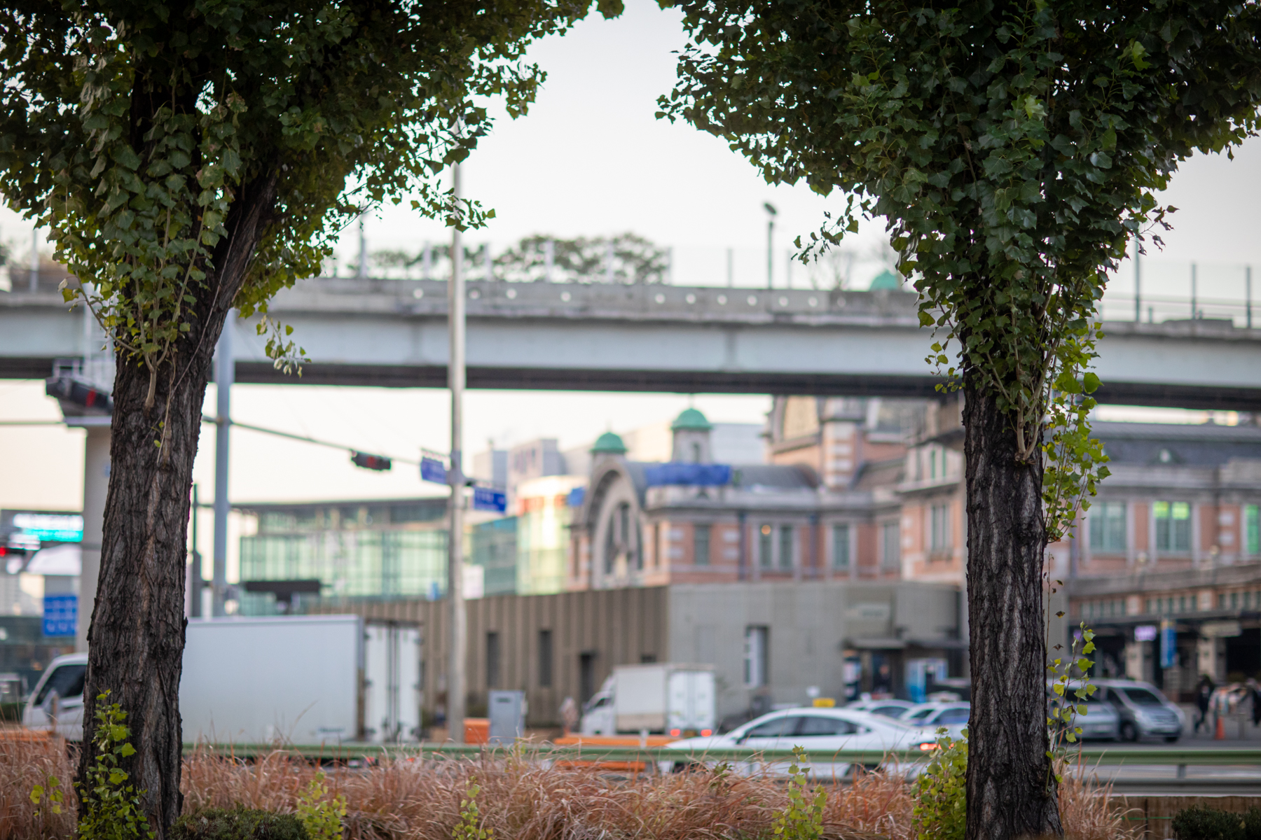 20251129-083906-mojinchan.jpg 20251129-083906-mojinchan.jpg