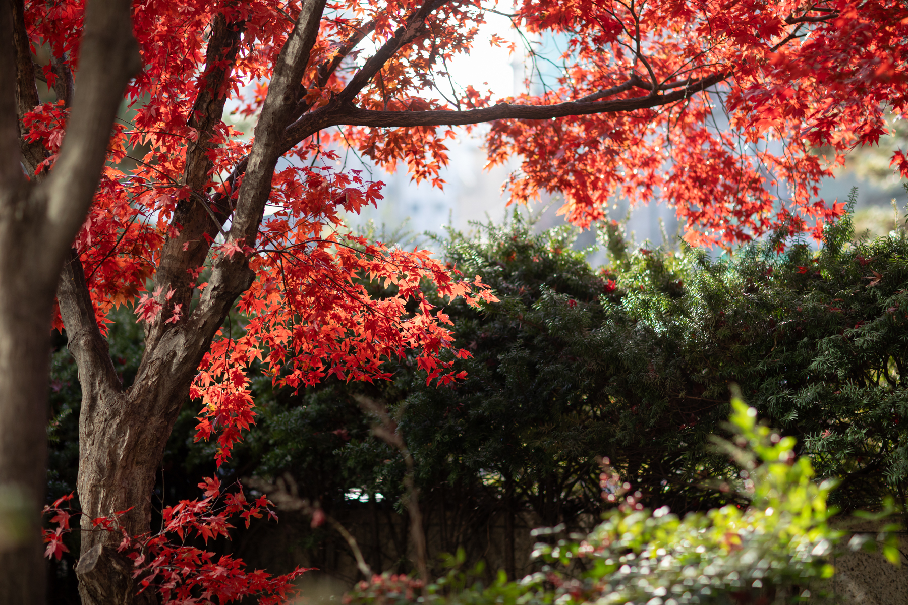 20251129-095935-mojinchan.jpg 20251129-095935-mojinchan.jpg