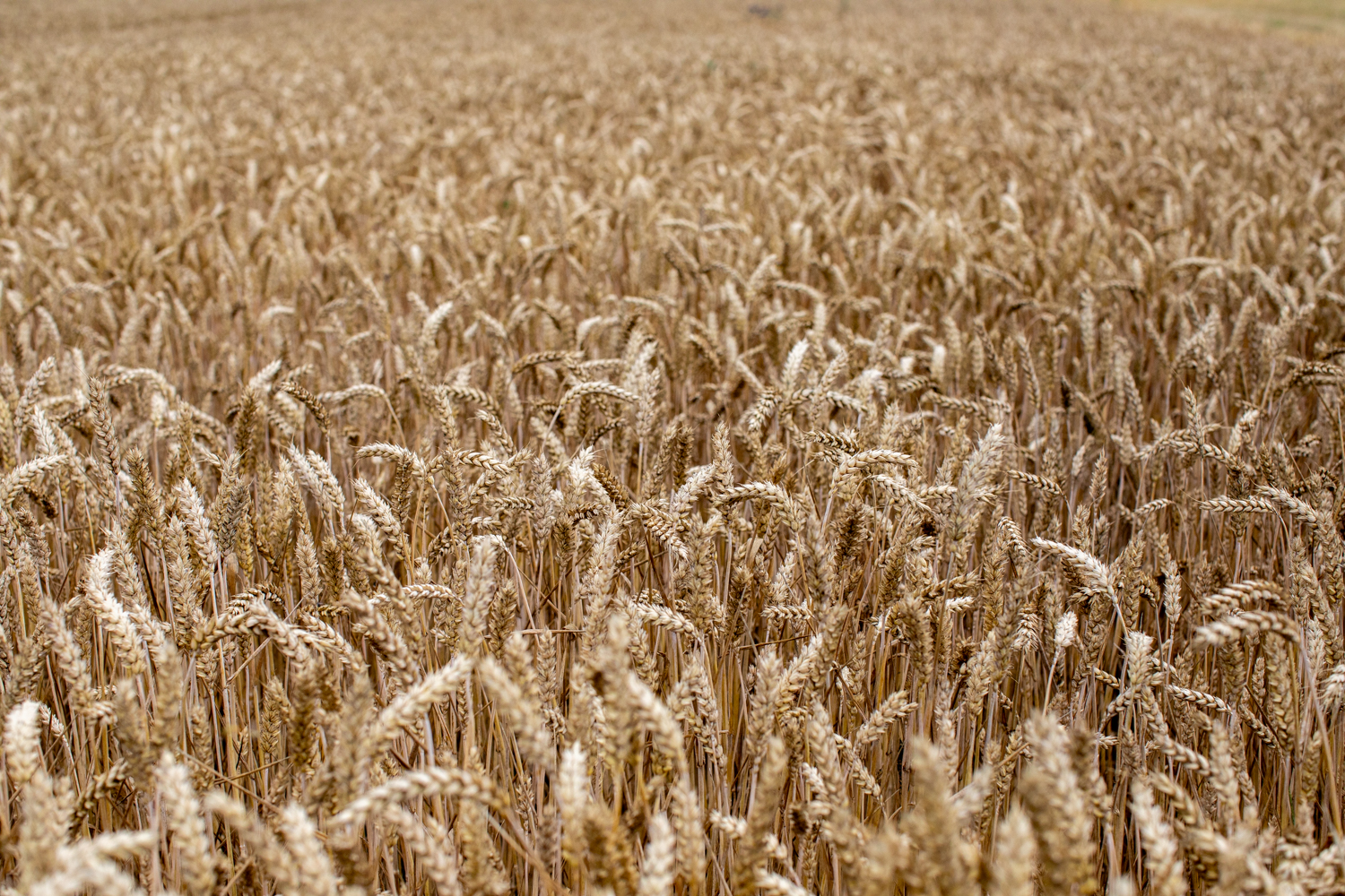 20240704-195506-mojinchan.jpg 20240704-195506-mojinchan.jpg