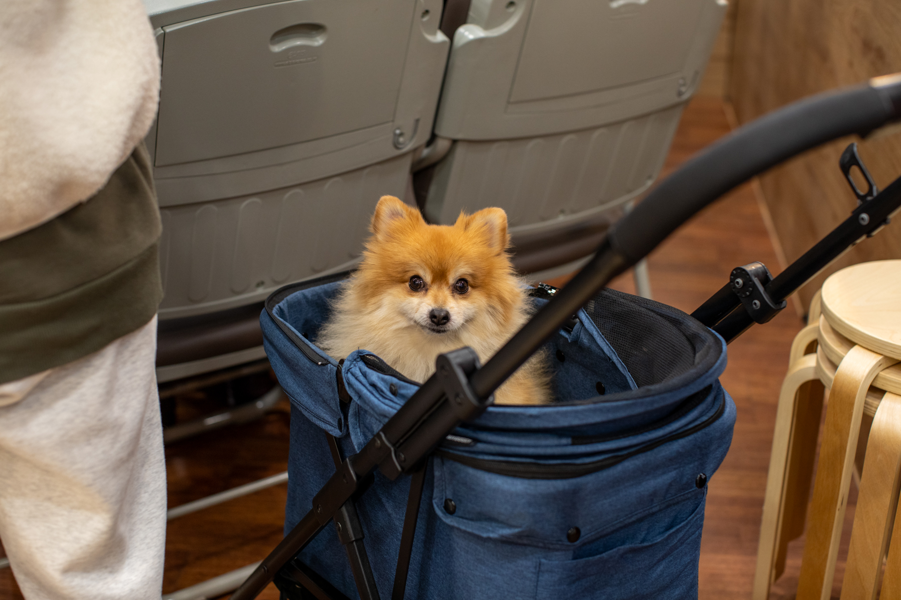 20251207-113517-mojinchan.jpg 20251207-113517-mojinchan.jpg