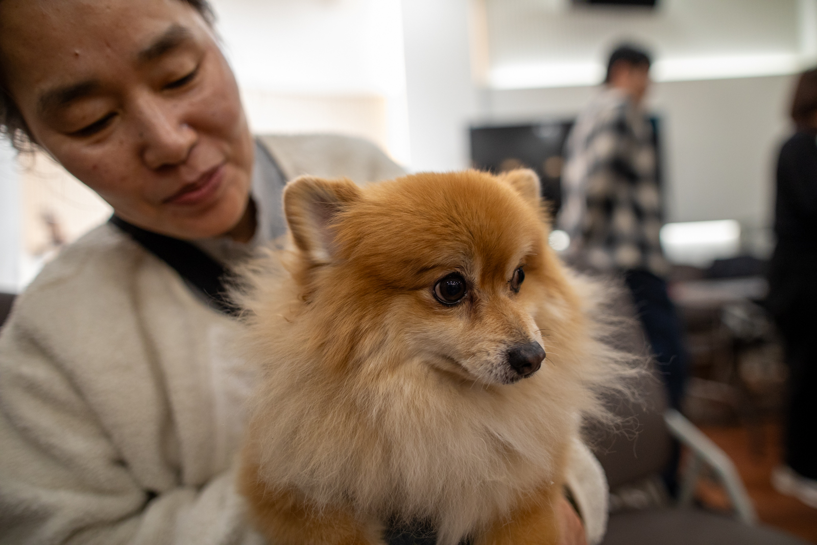 20260301-141747-mojinchan.jpg 20260301-141747-mojinchan.jpg