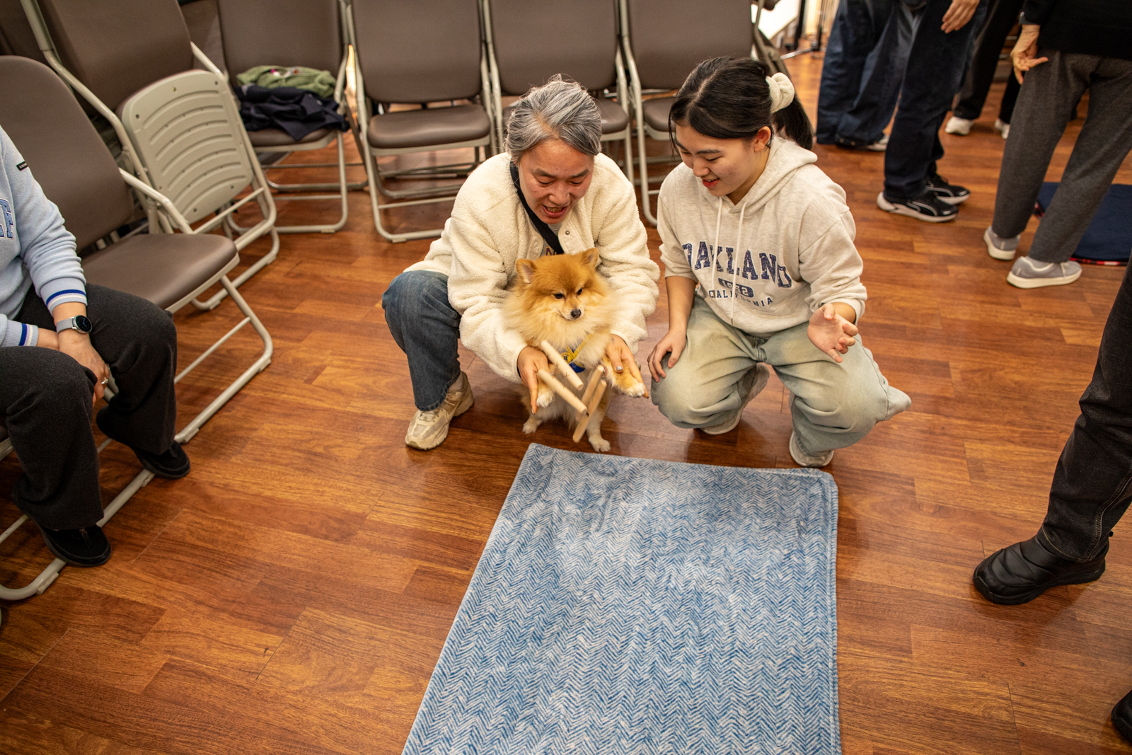 20260301-141906-mojinchan.jpg 20260301-141906-mojinchan.jpg