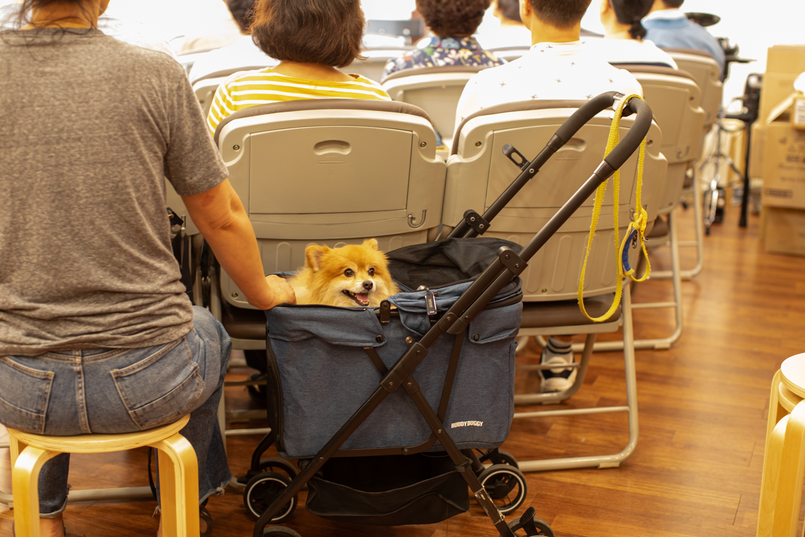 20260524-114213-mojinchan.jpg