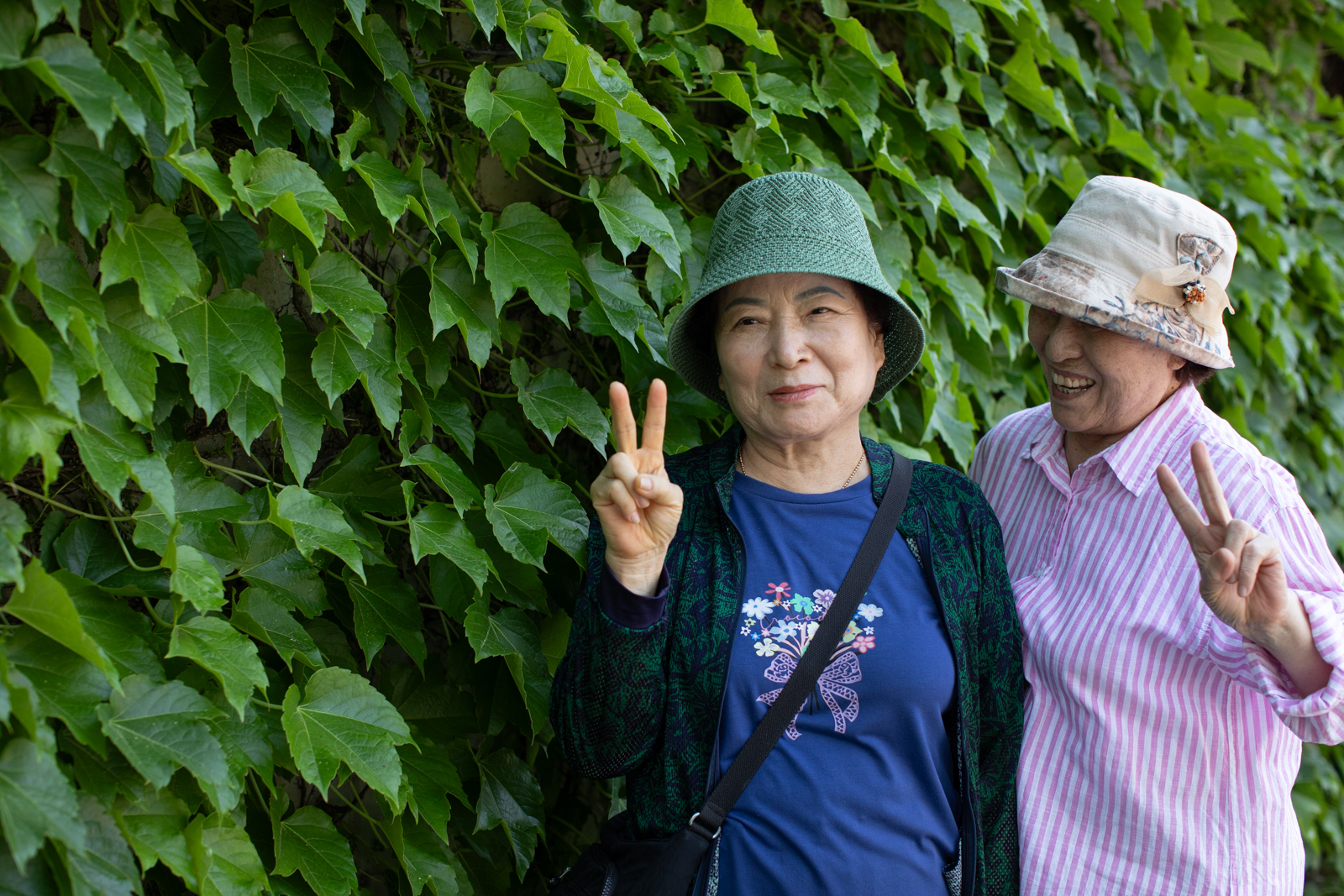 20260530-125428-mojinchan.jpg