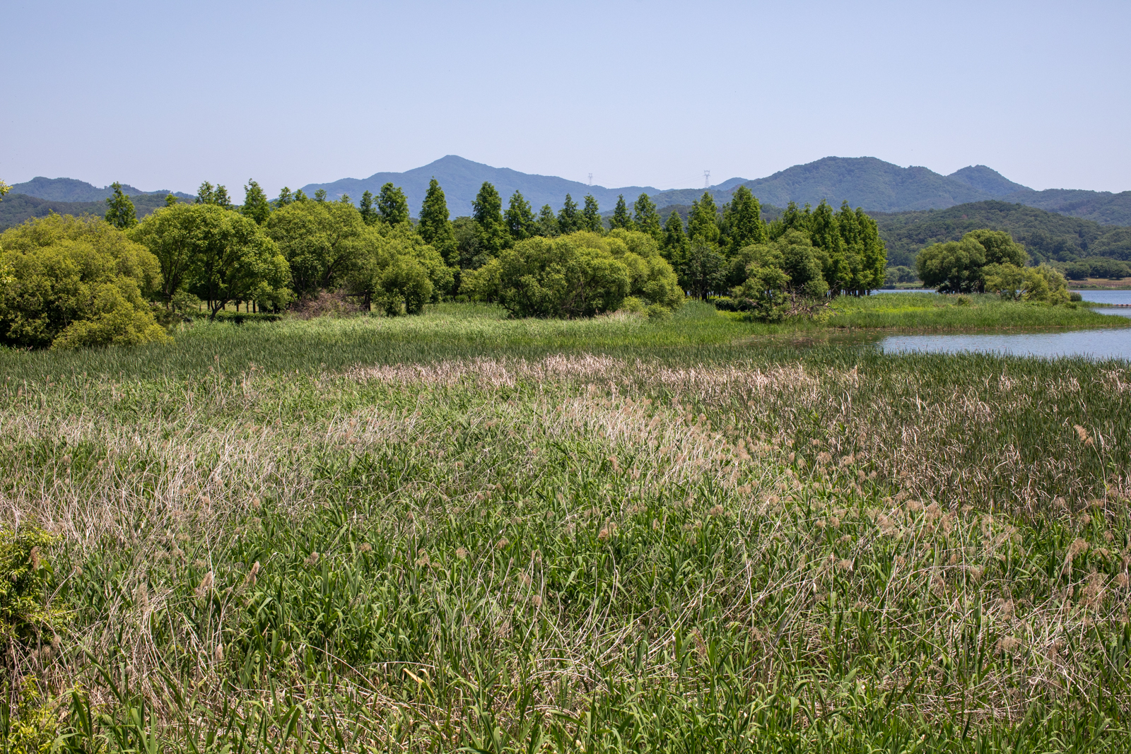 20260530-133046-mojinchan.jpg