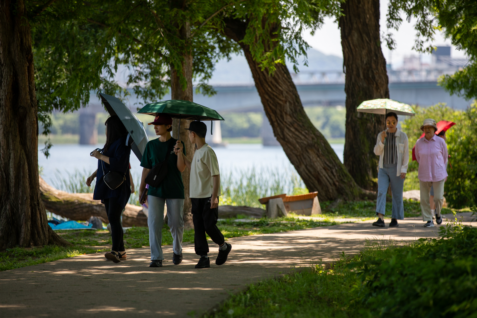 20260530-134607-mojinchan.jpg