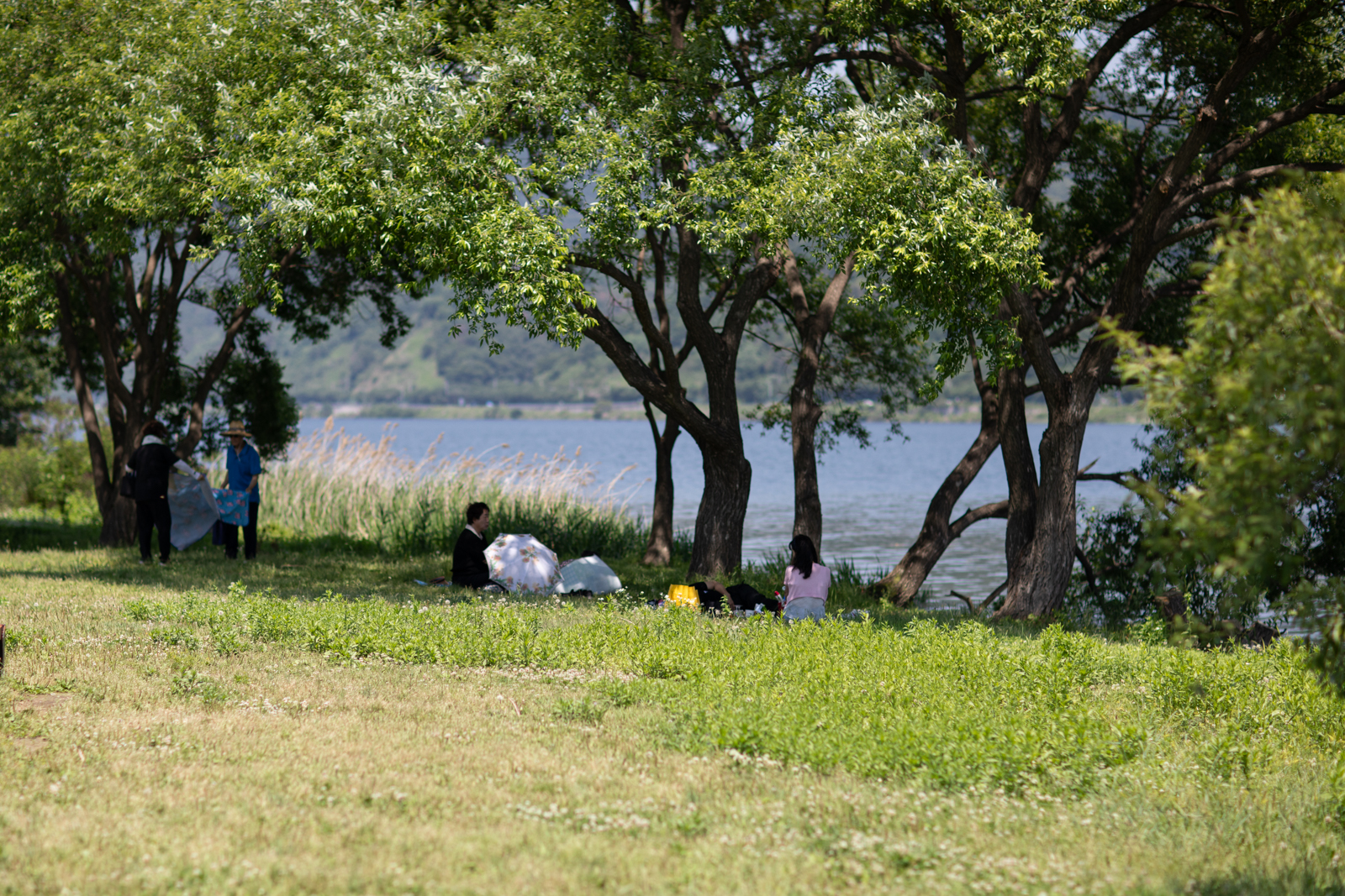 20260530-141311-mojinchan.jpg