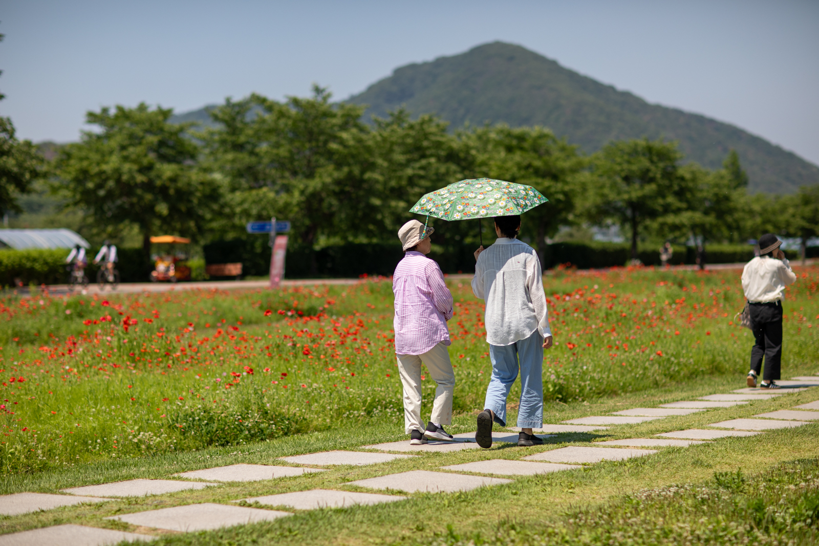 20260530-141601-mojinchan.jpg