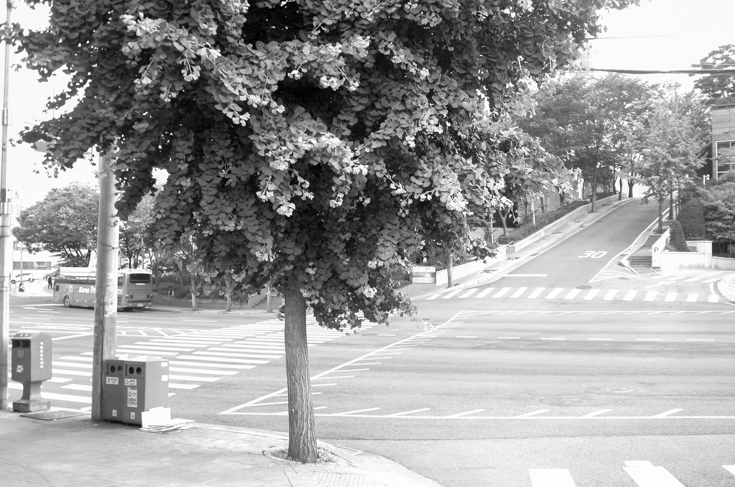 KakaoTalk_Photo_2026-06-06-20-28-19 003.jpeg