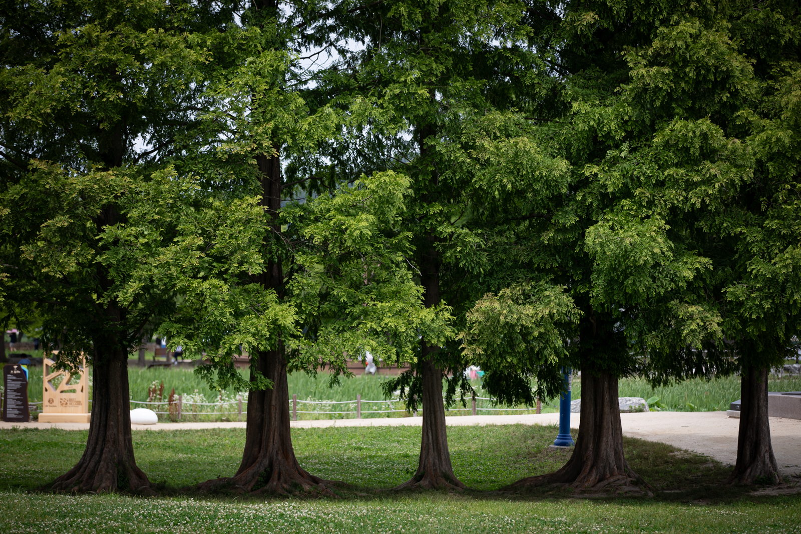 20260624-144618-mojinchan.jpg