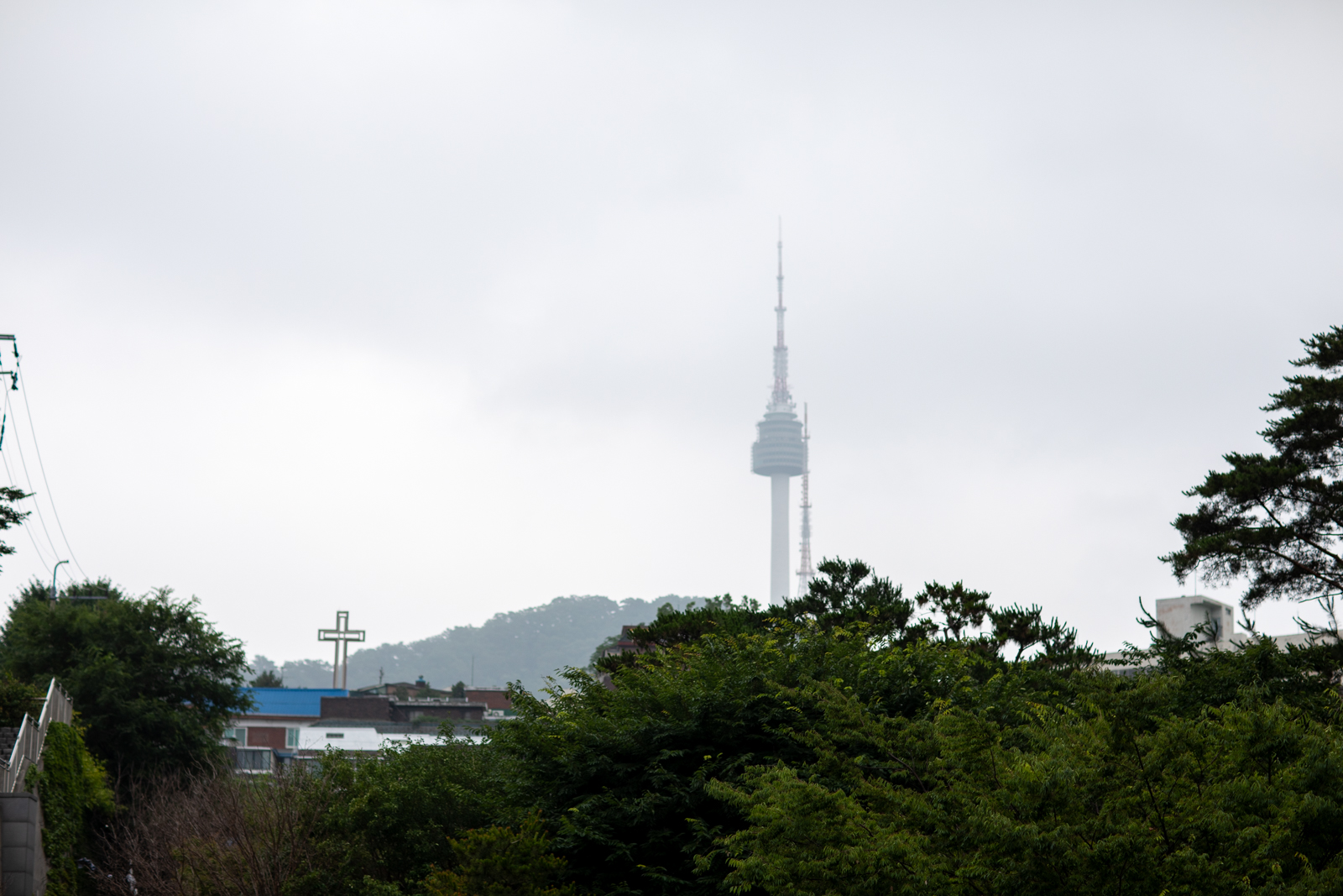 20260704-081540-mojinchan.jpg