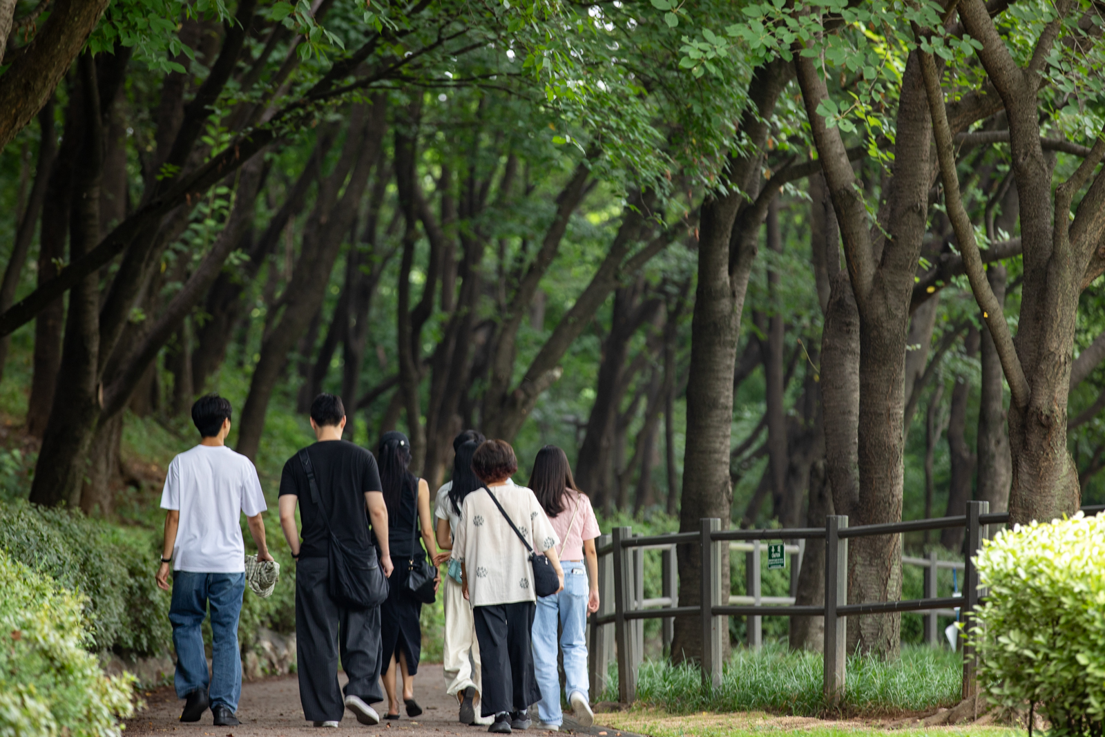 20260704-121748-mojinchan.jpg