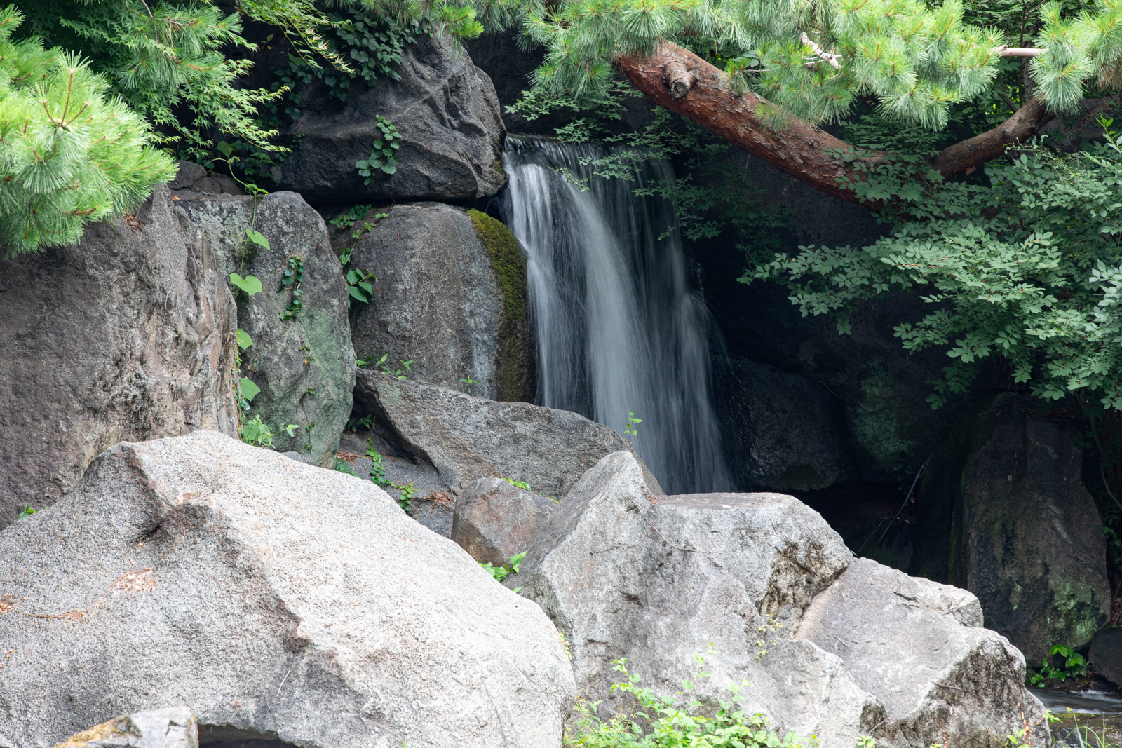 20260704-122051-mojinchan.jpg