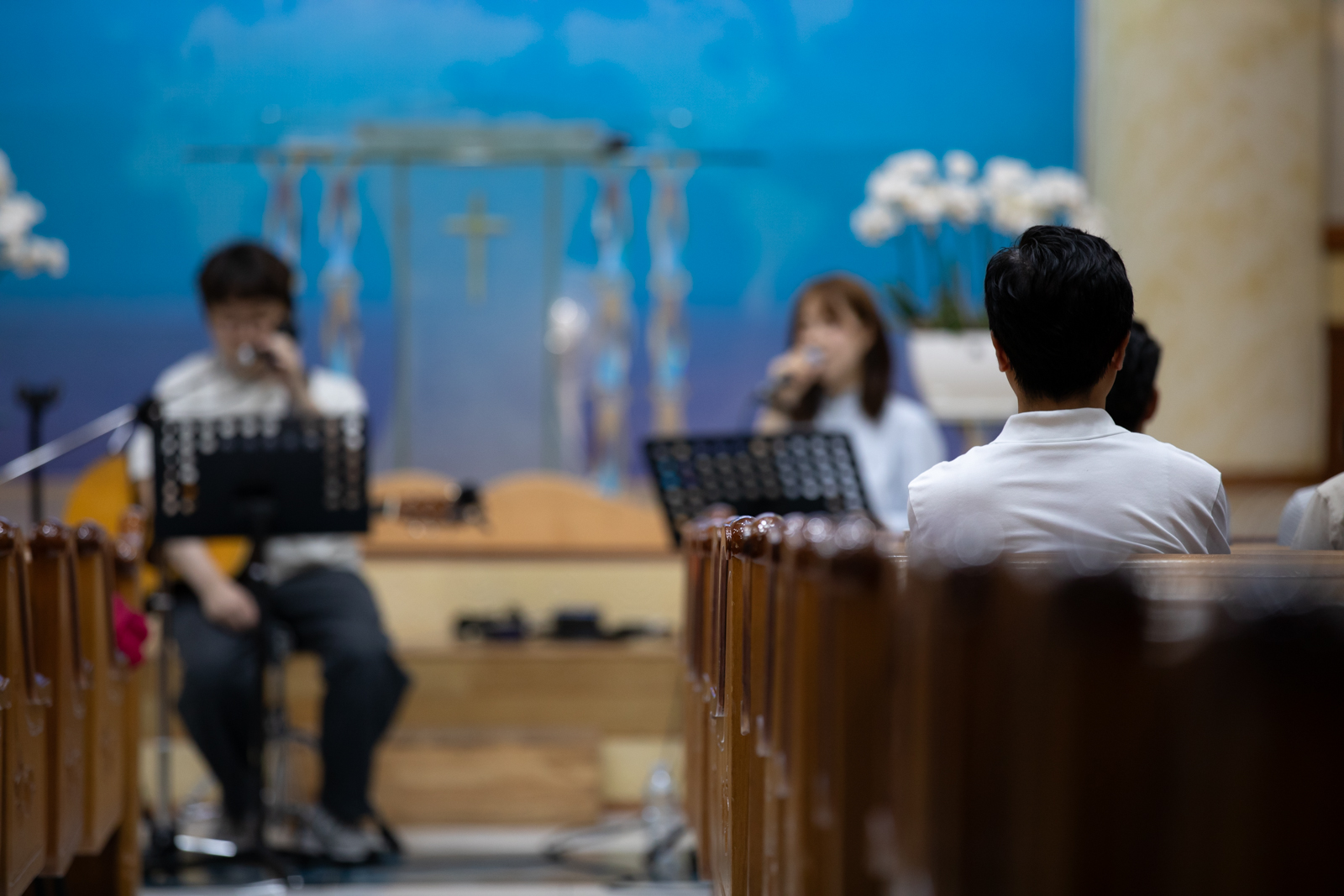 20260706-194426-mojinchan.jpg