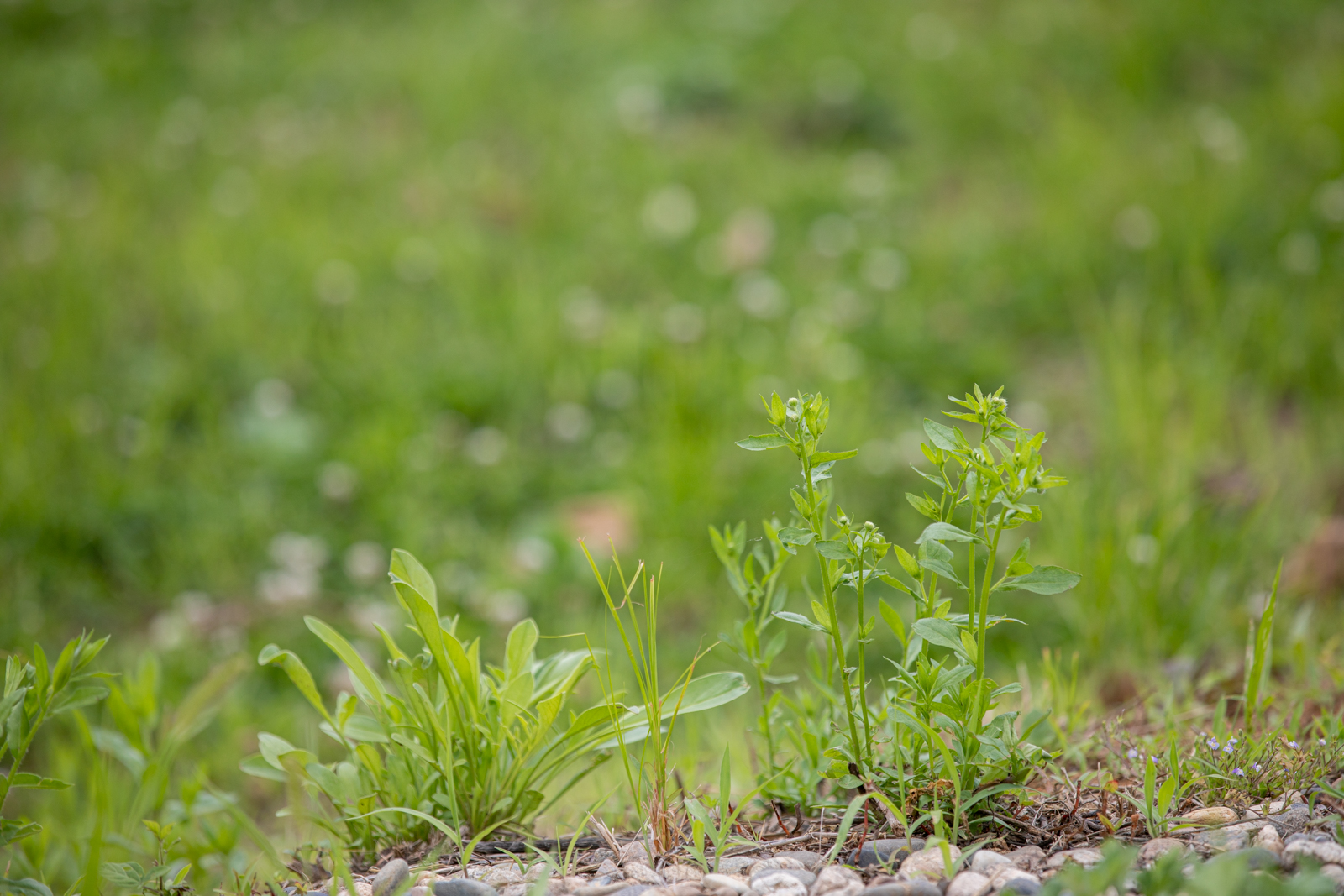 20260624-151538-mojinchan.jpg 20260624-151538-mojinchan.jpg