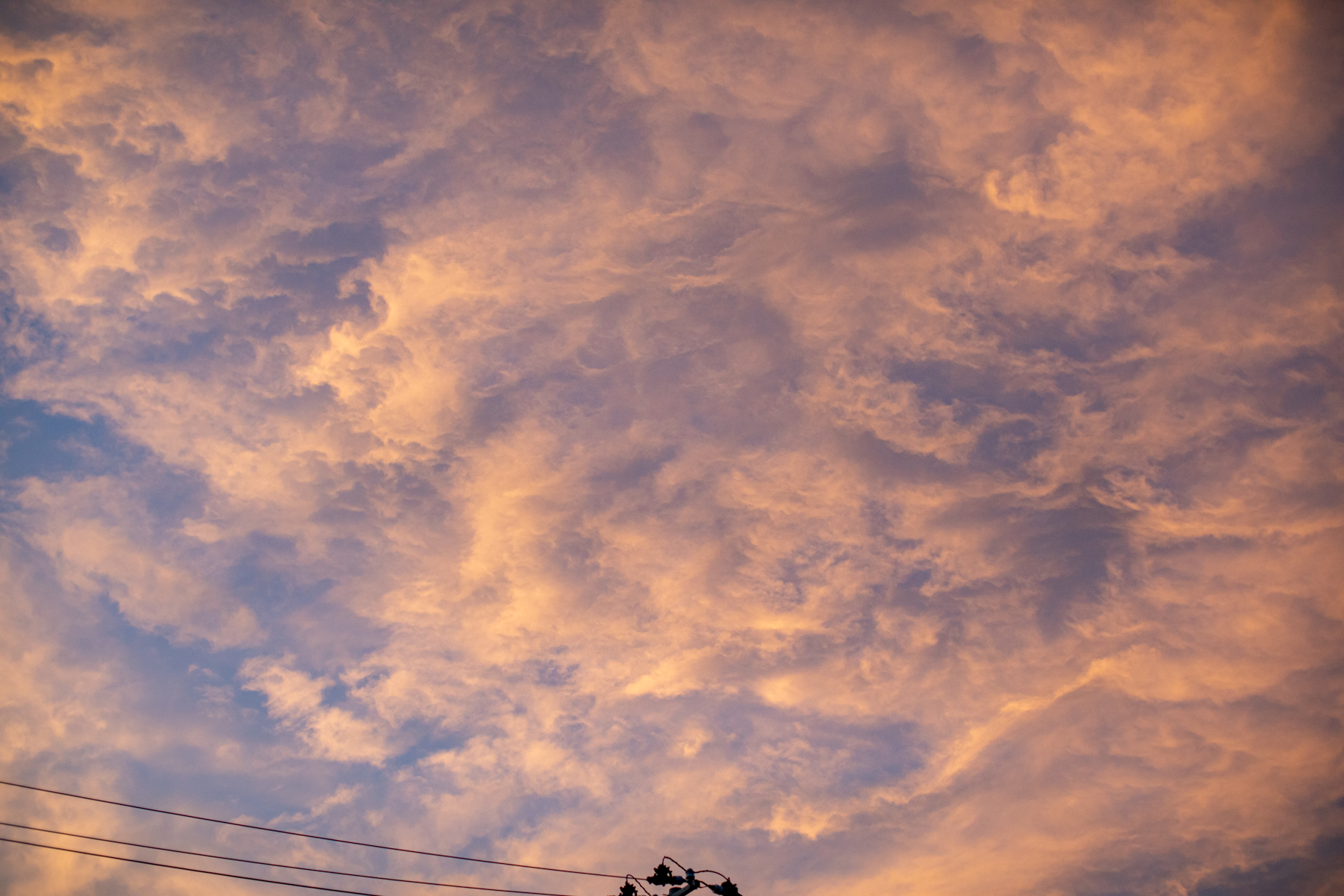 20250827-184717-mojinchan.jpg