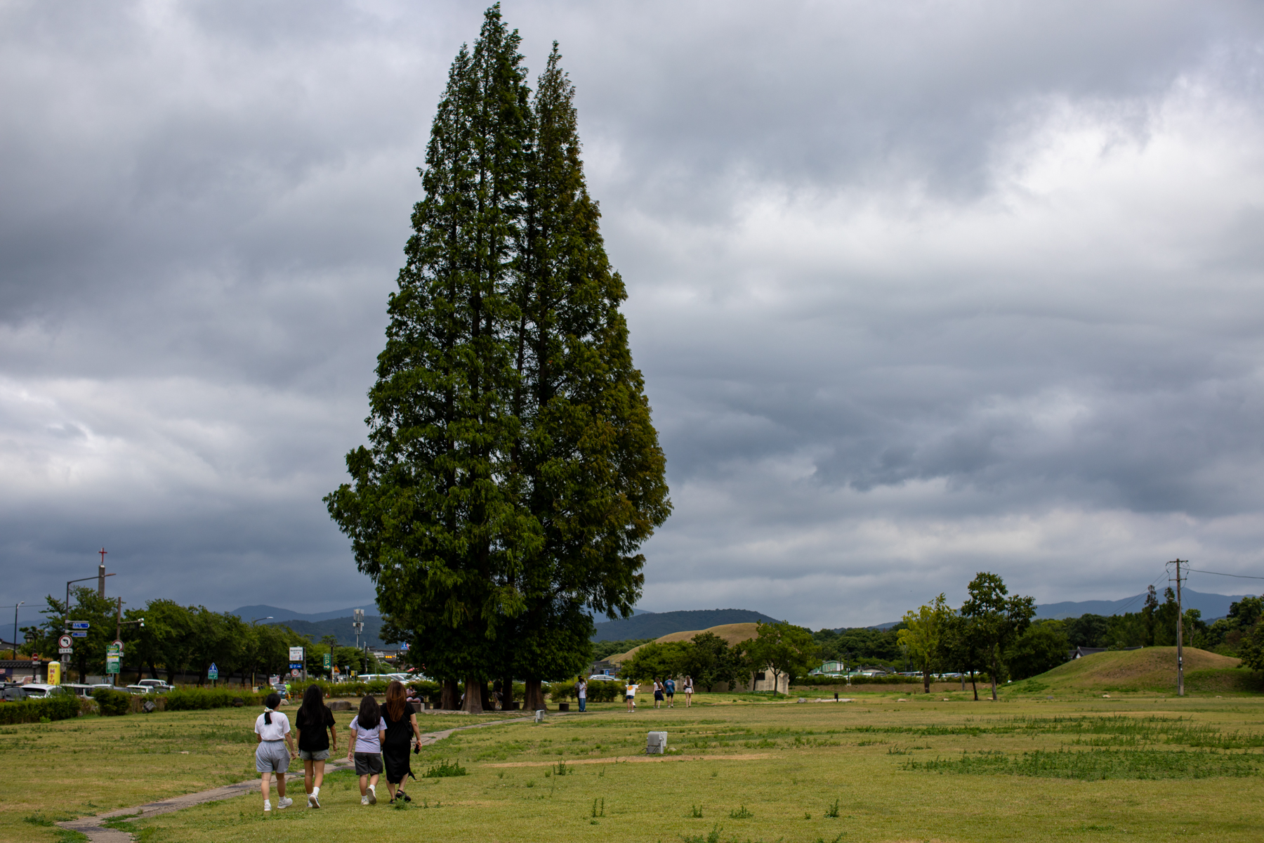 20260812-152315-mojinchan.jpg